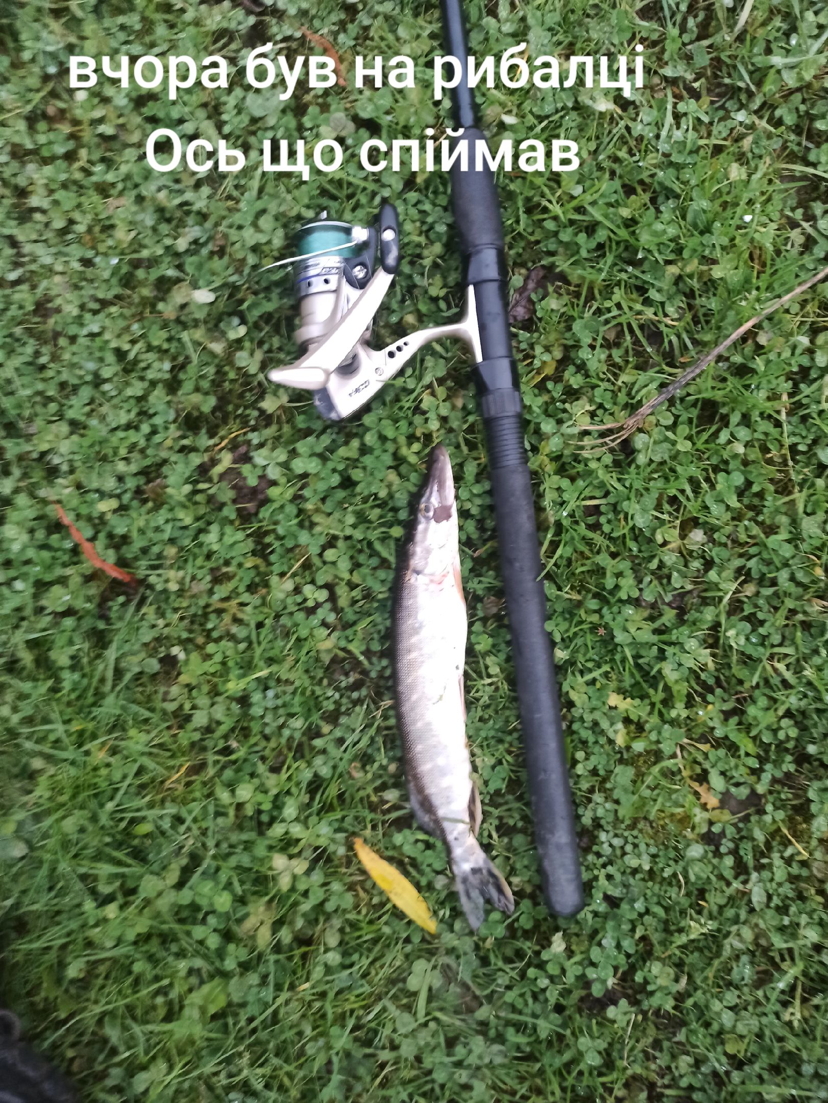 @🐟рибачок🇺🇦