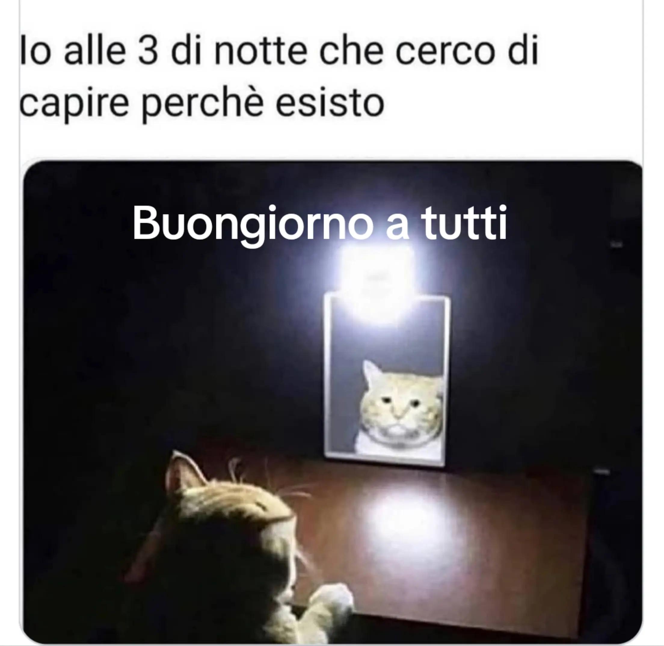 @Ginevra1990