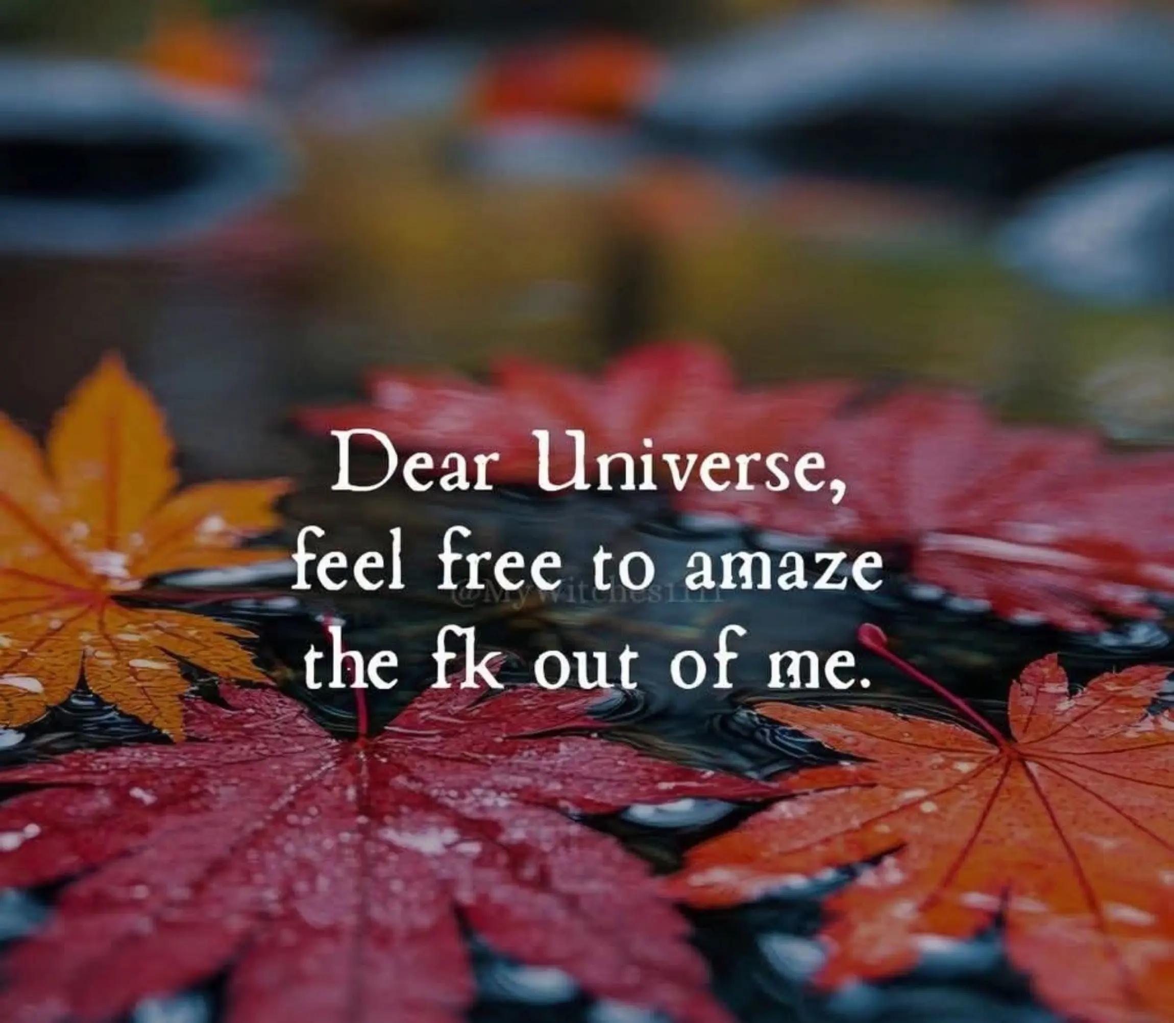 @Angie Dunn