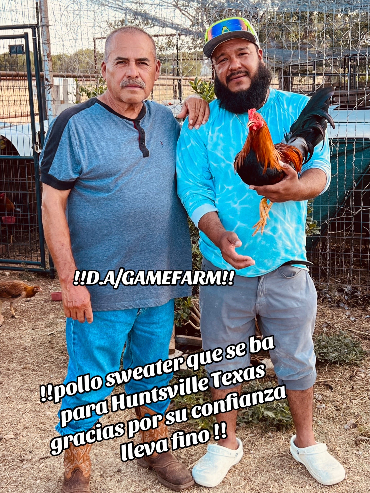 @DAgamefarm