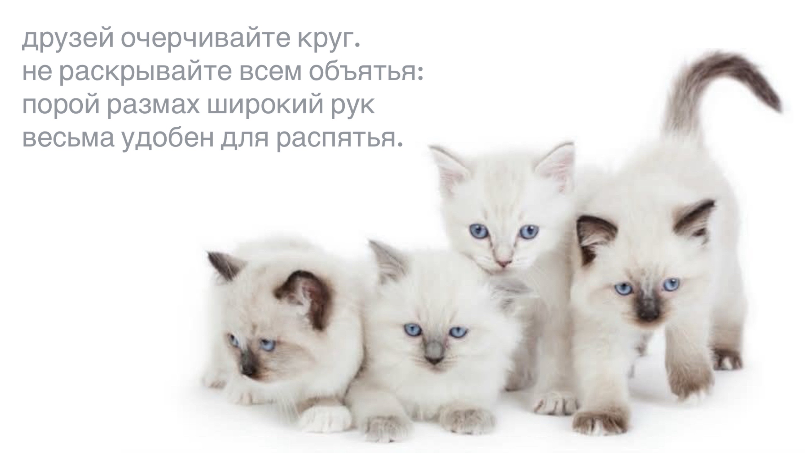 @𝗉𝖺𝗋𝖺𝗇𝗈𝗂𝖽 𝗌𝗁𝖺𝗆𝖾
