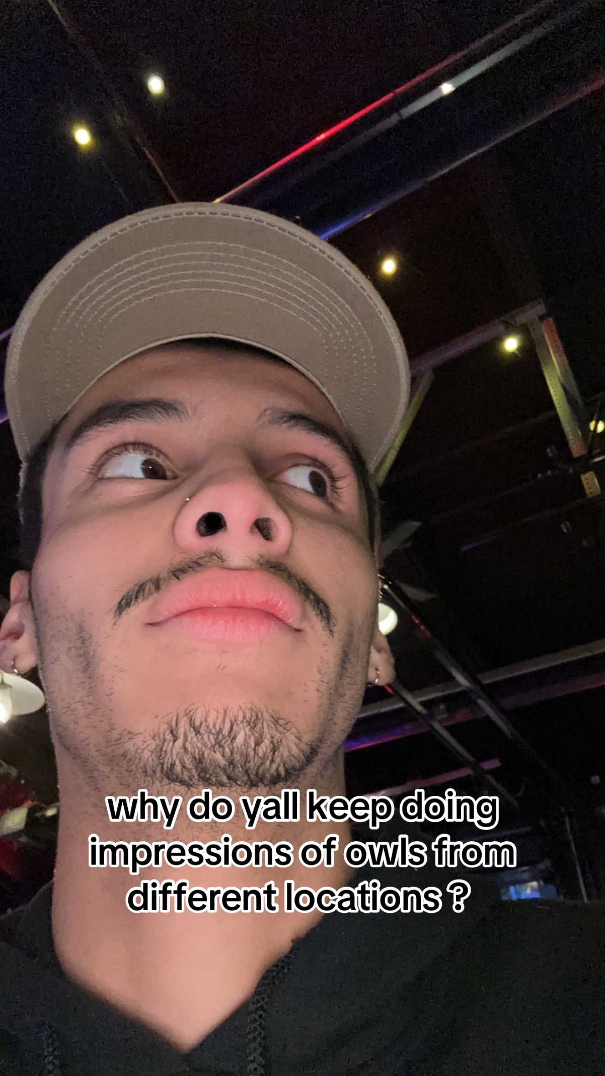 @cinnamon stallion