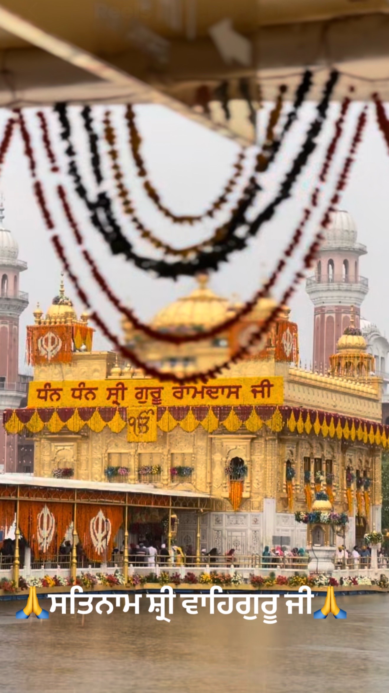 @SinghGurleen
