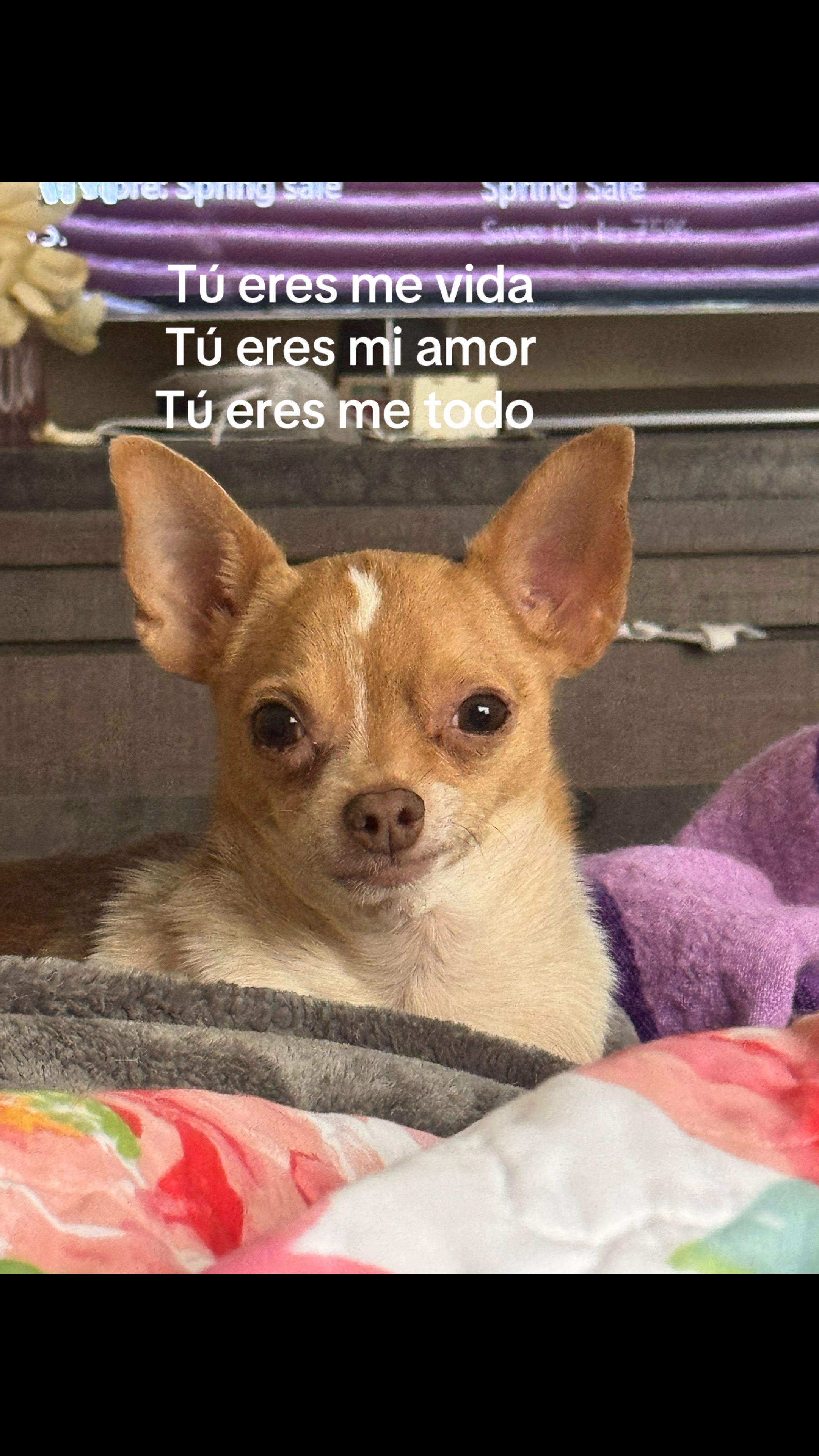 @Bru