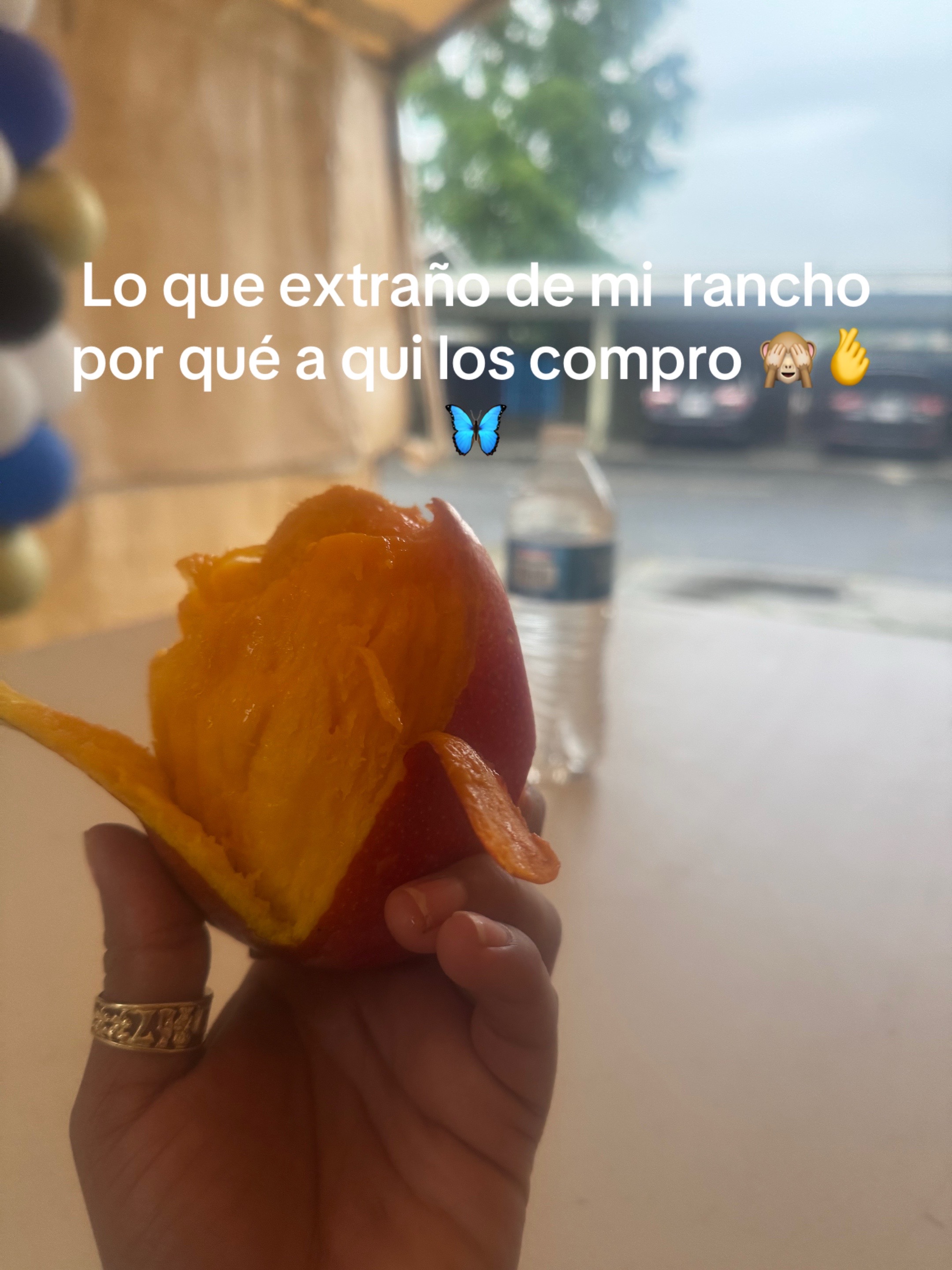 @China | La Costeña 🦋