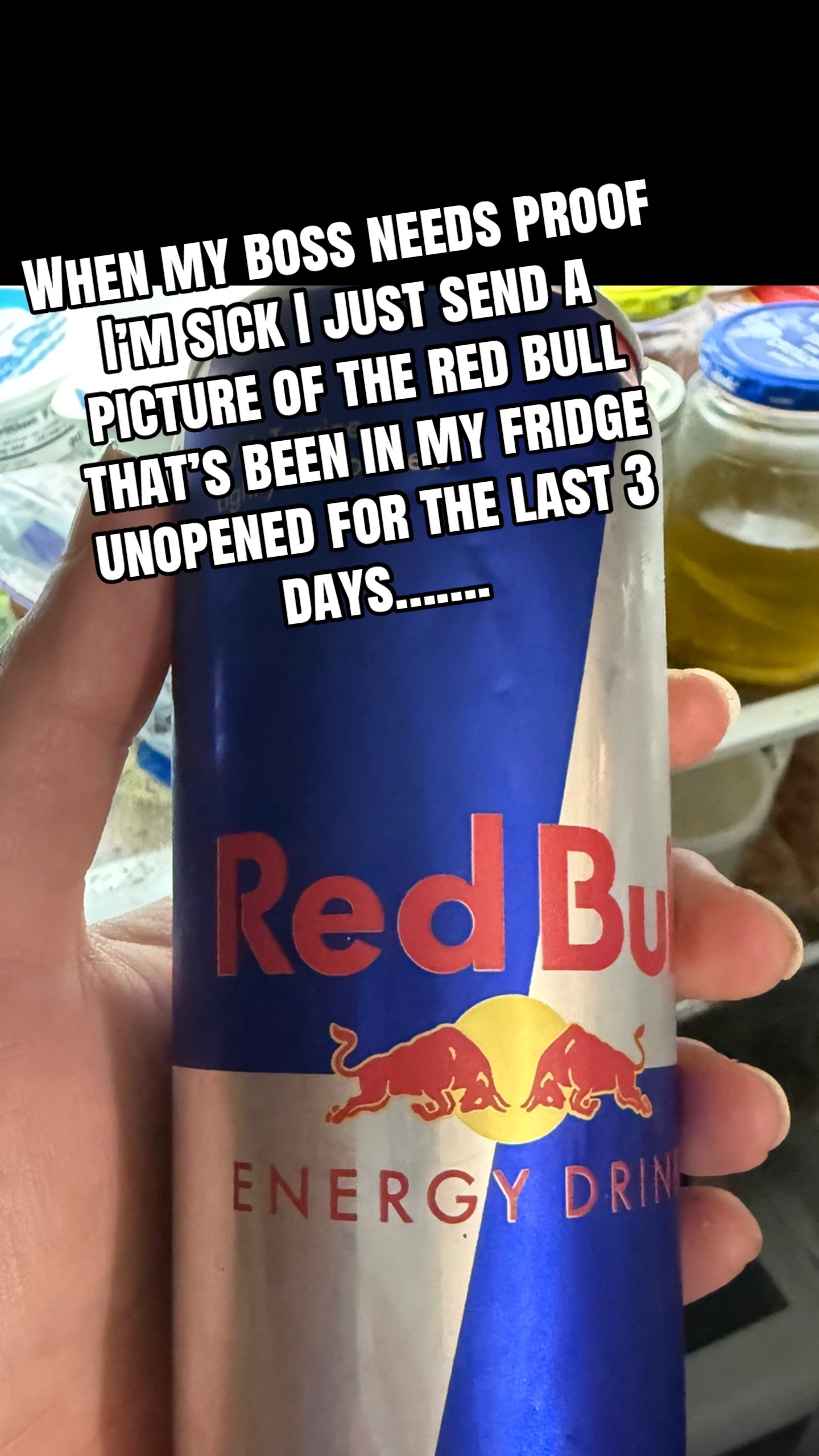 @notyouraverageseabeaver