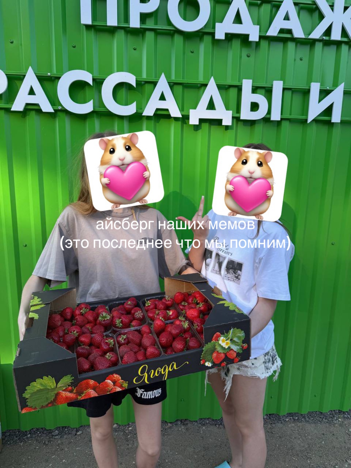 @тгк:паля