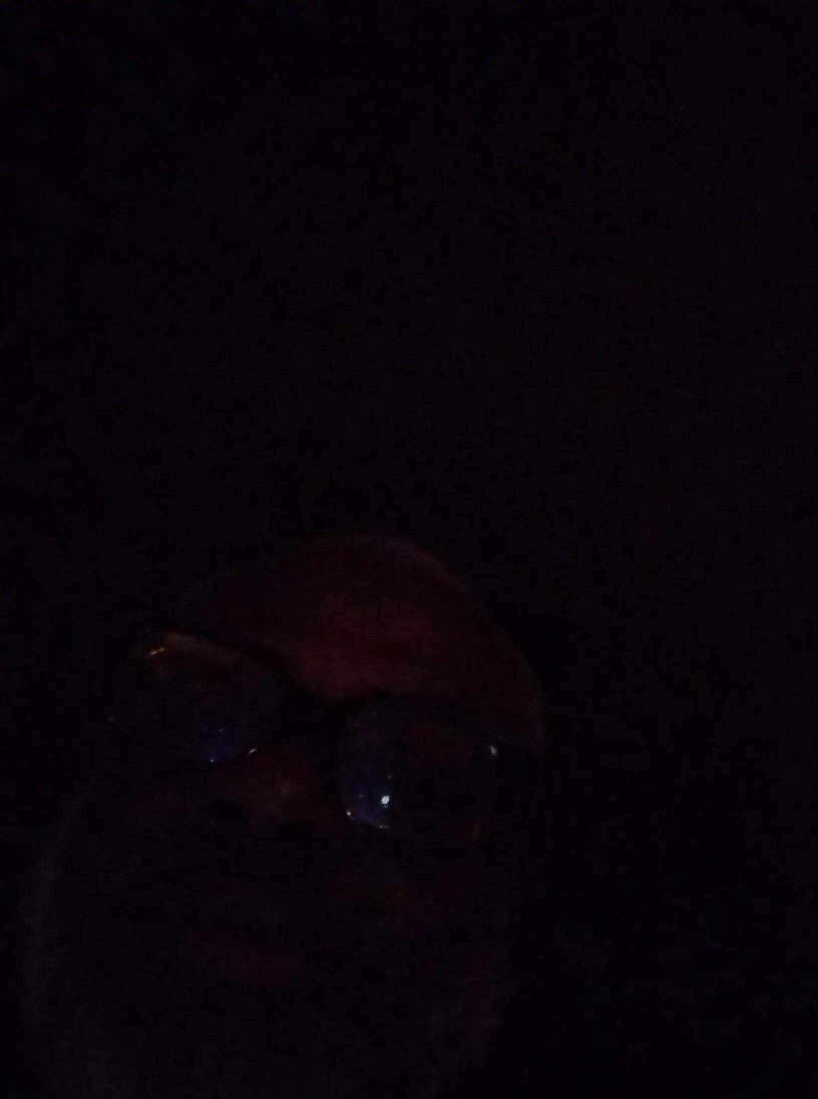 @3David Banks315.