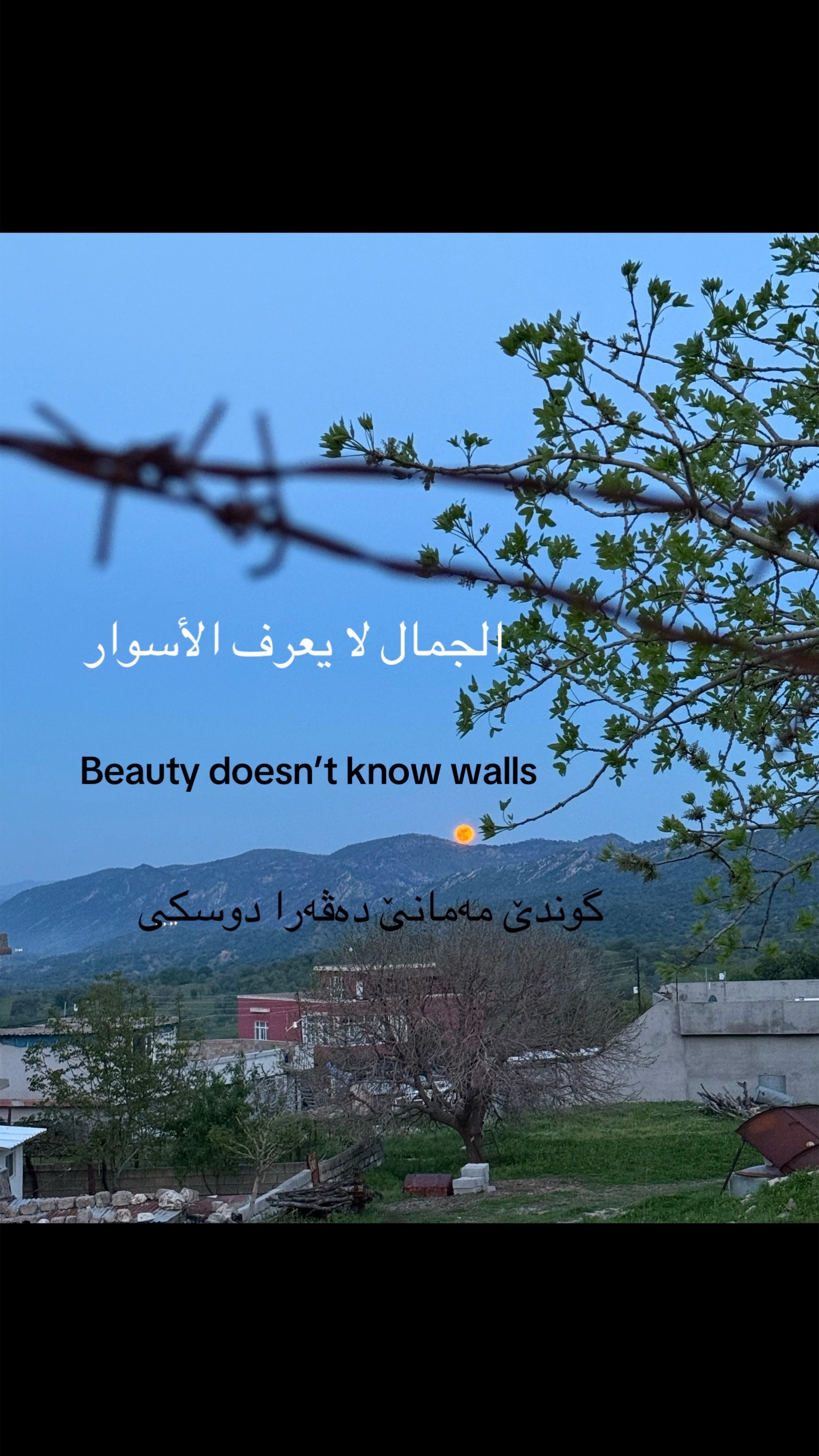 @Zaid Brifkani MDزيد بريفكاني