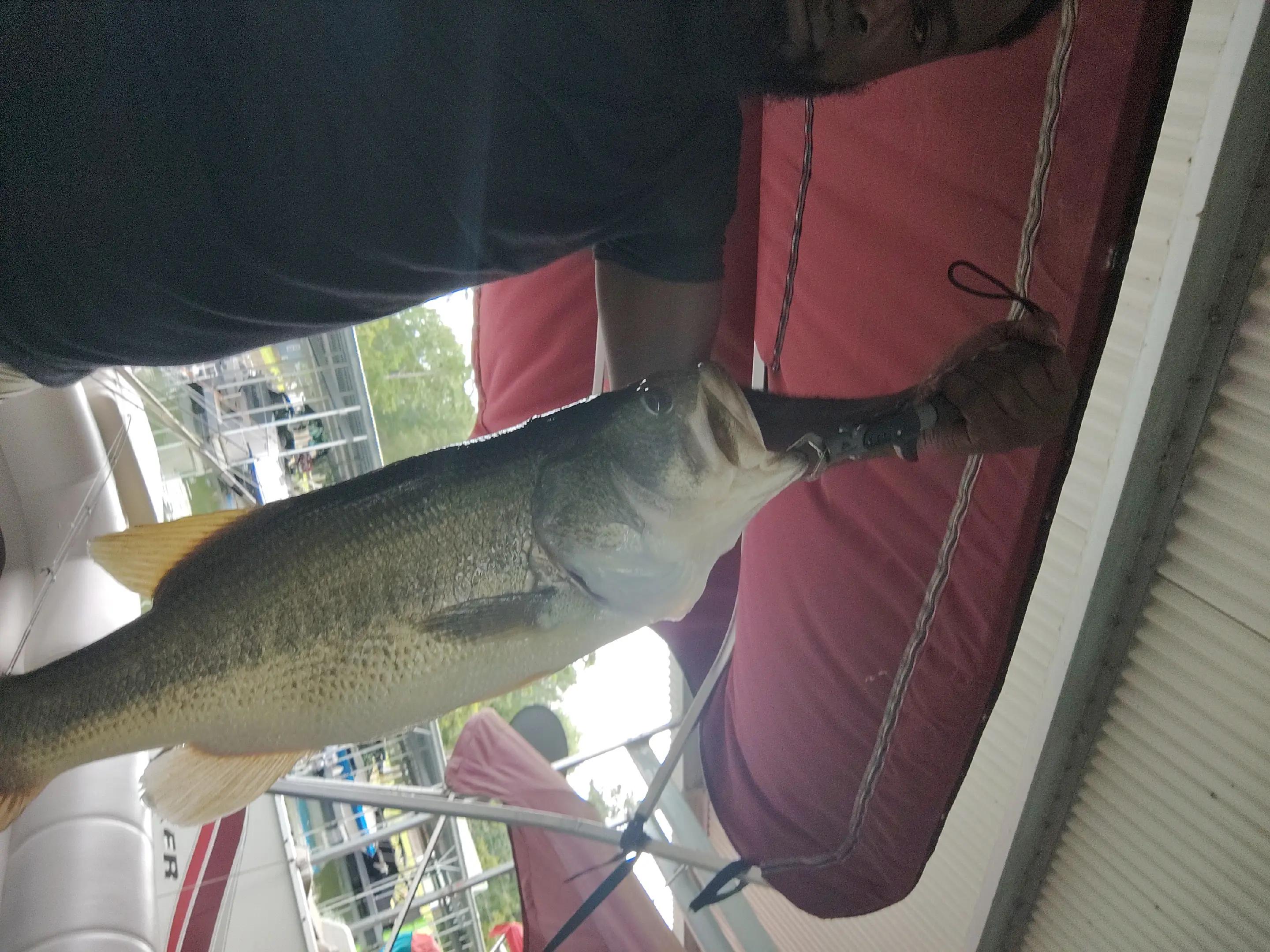 @BbieBlackDoG@bbie🎣ishingMan