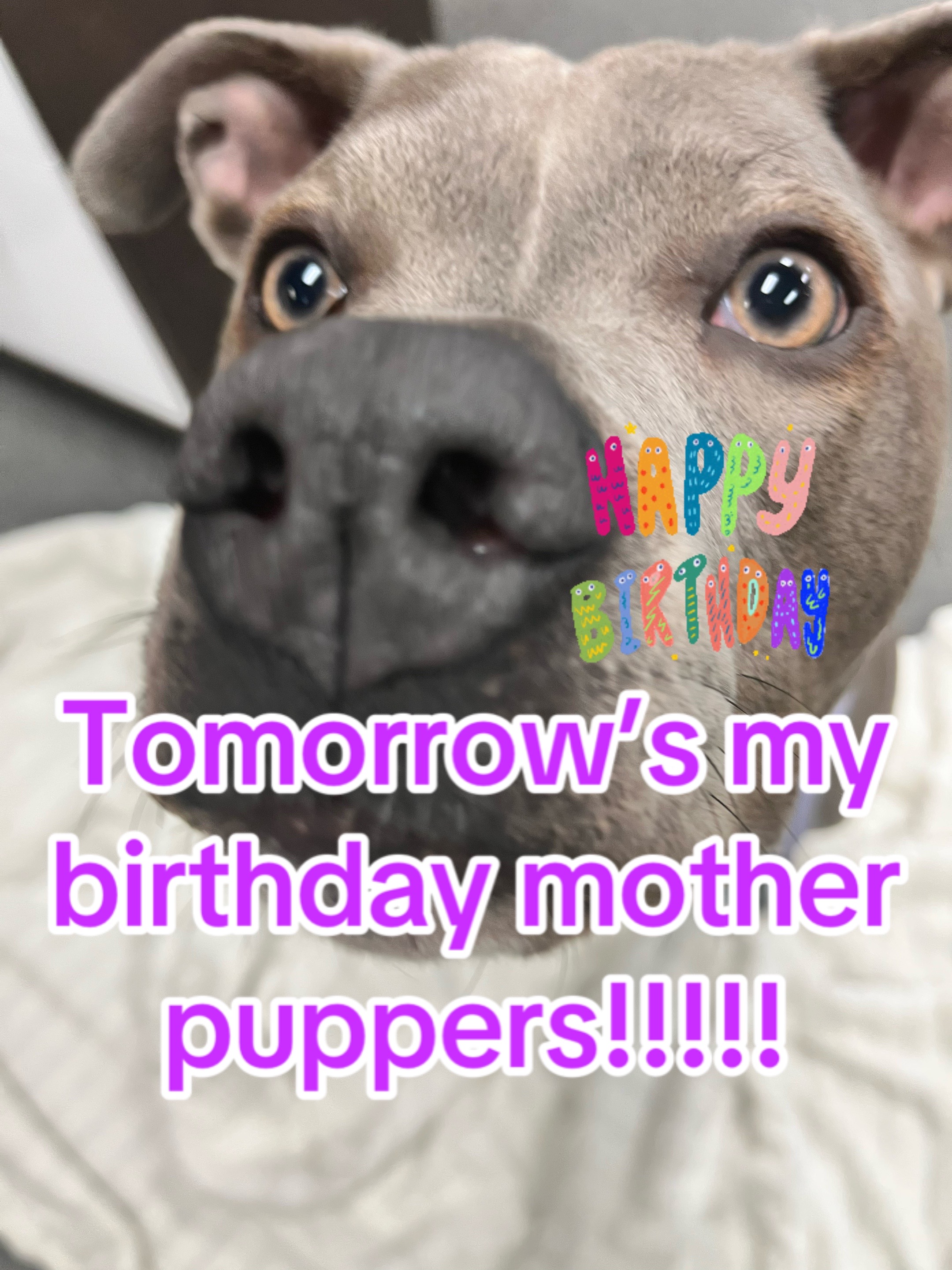 @Ivy the pitty