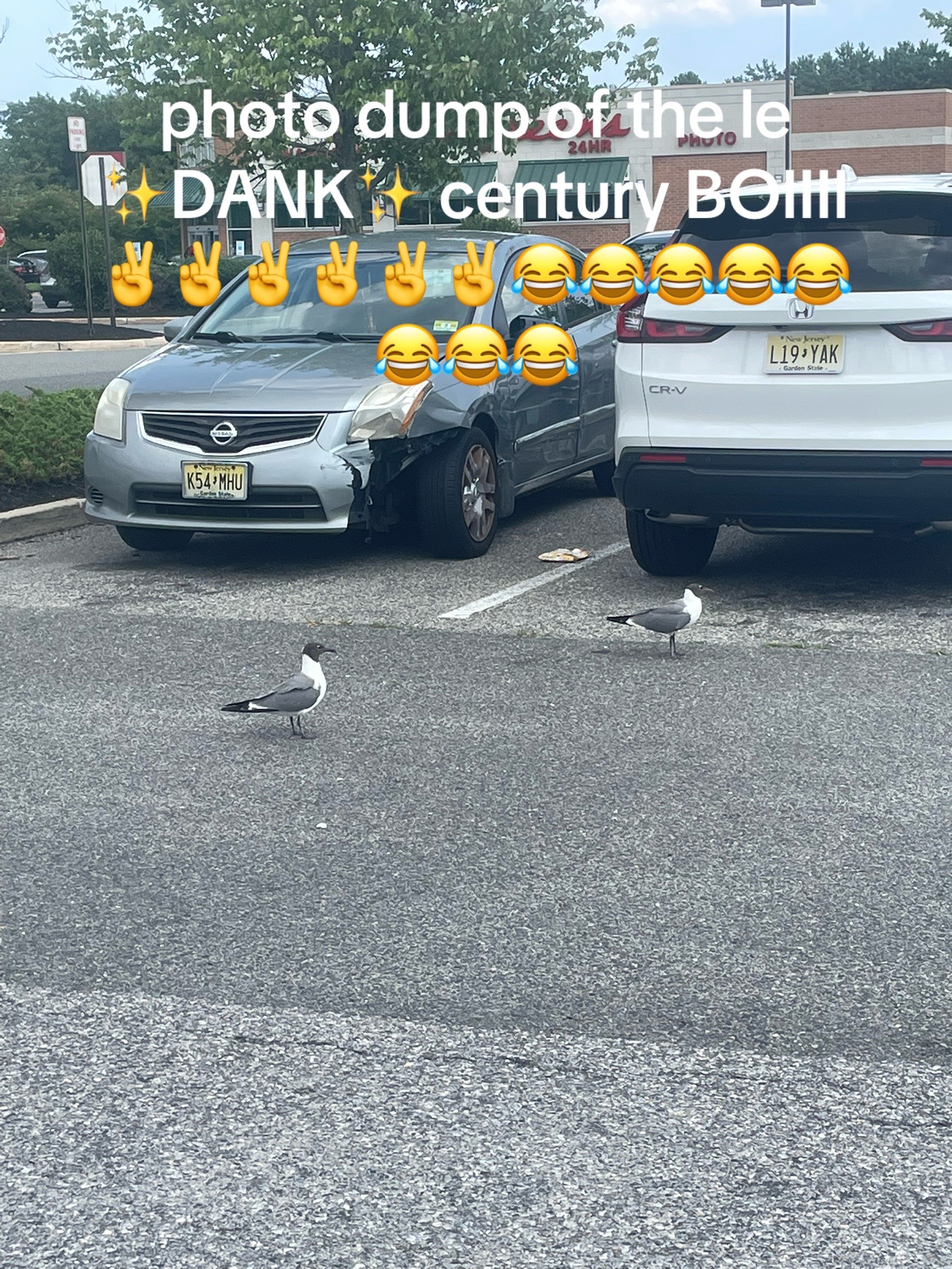@seewhy