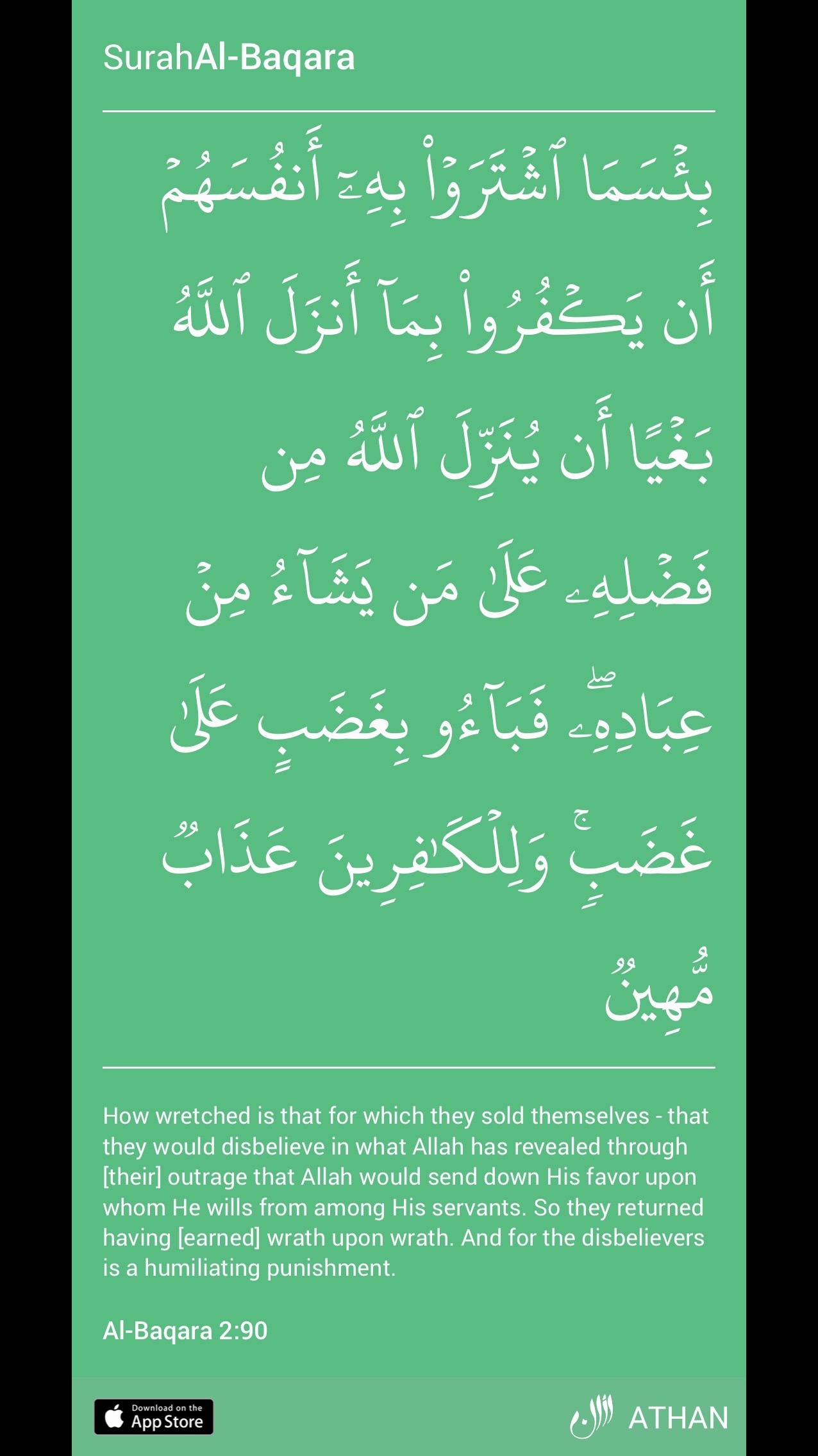 @Mohammedi F Habib