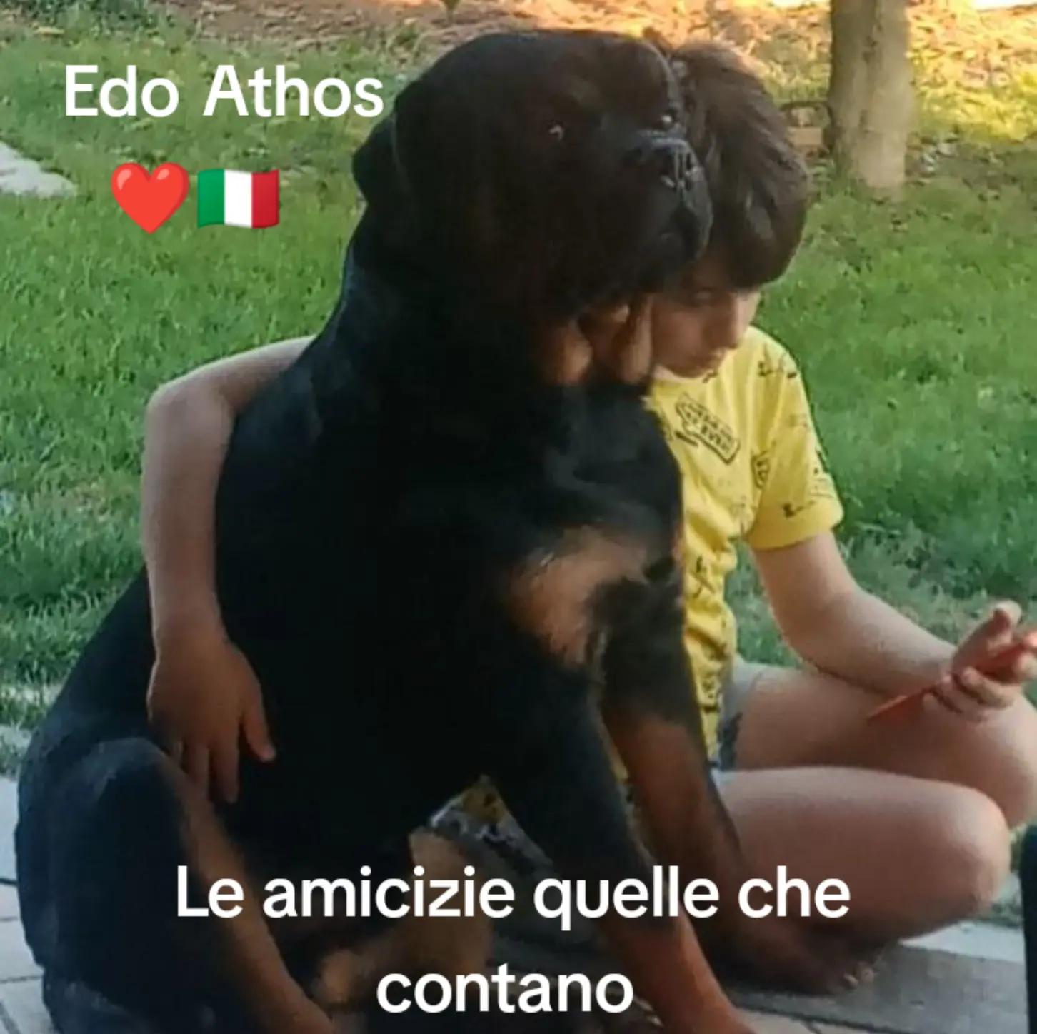 @Ricky