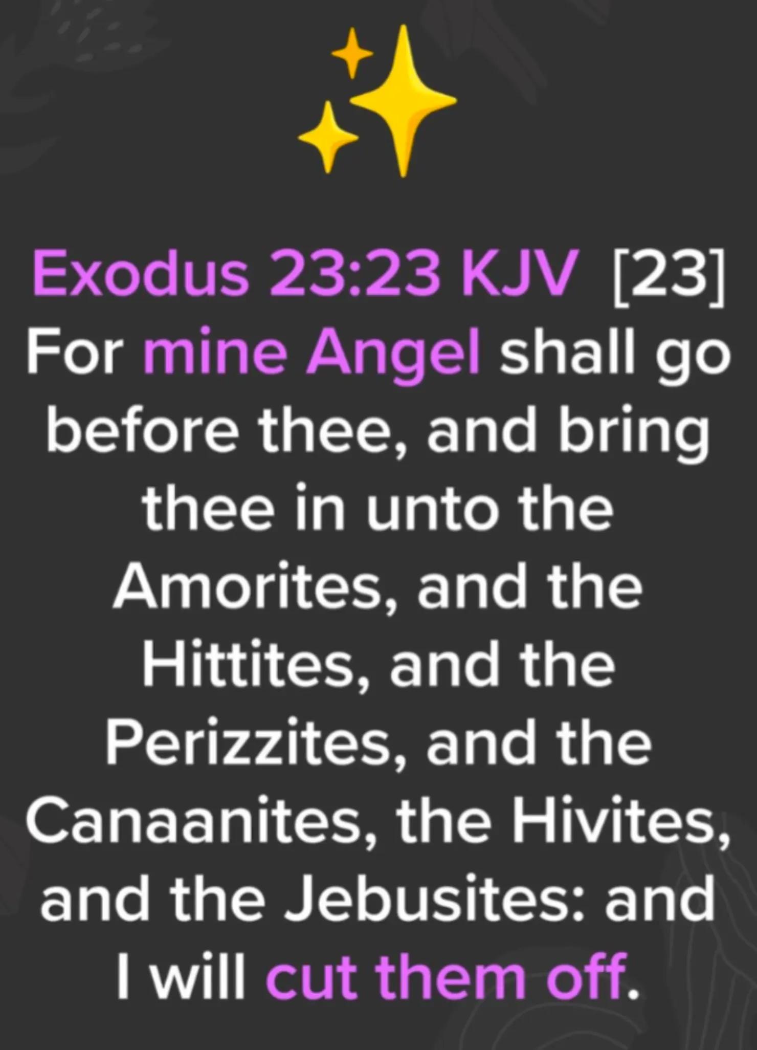 @Draden_Bible_Defender✊🏼✝️📖