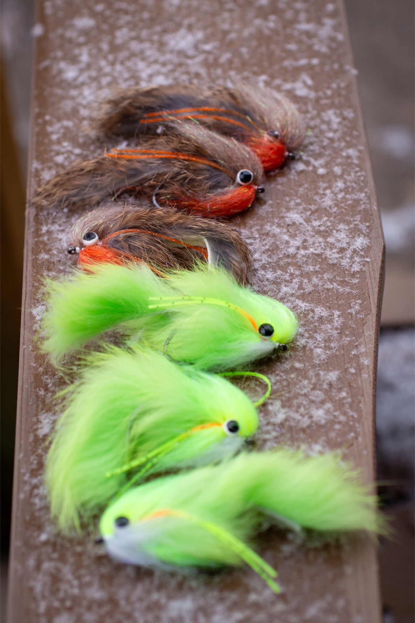 @Finley Fly