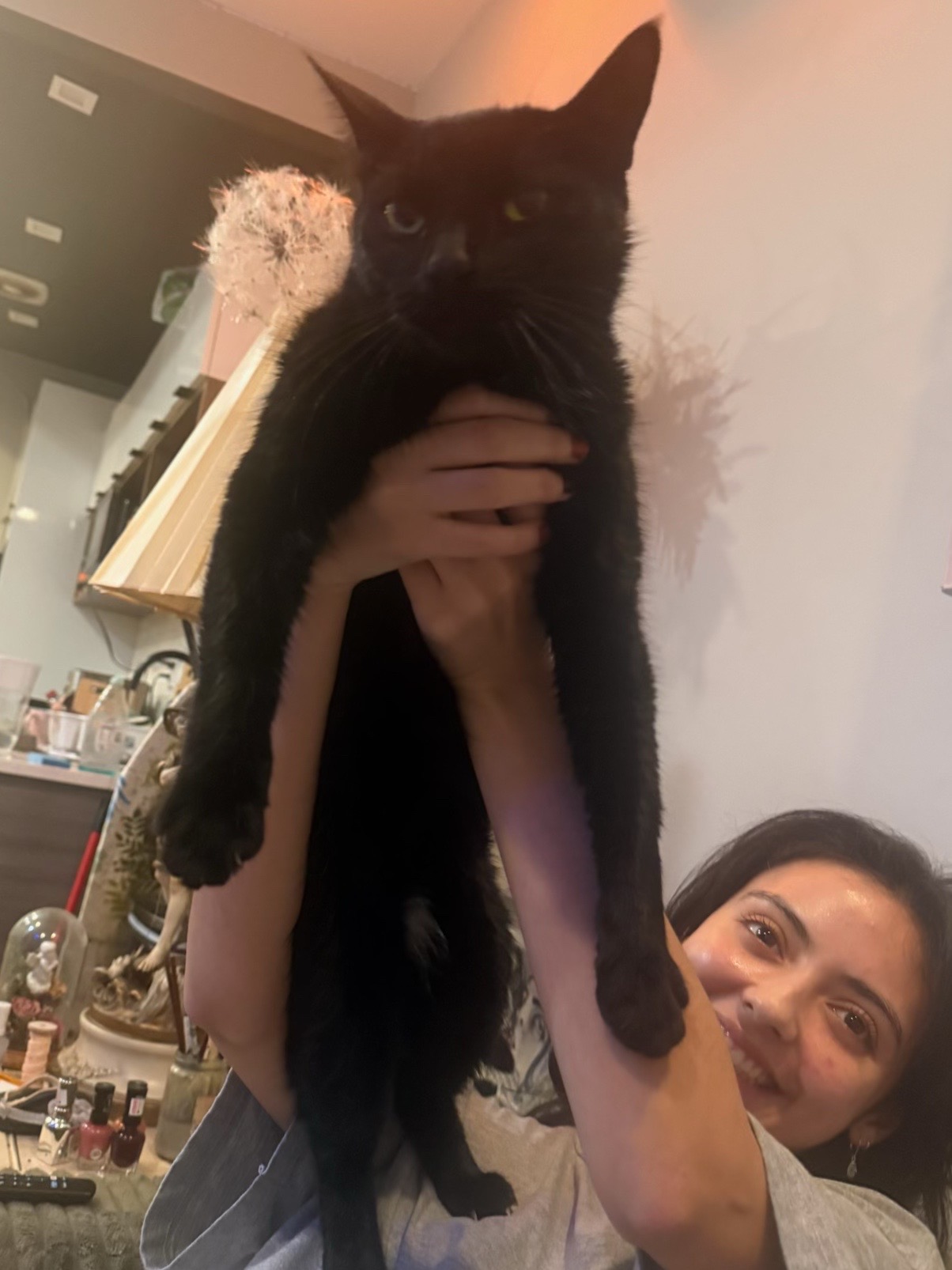 @bella