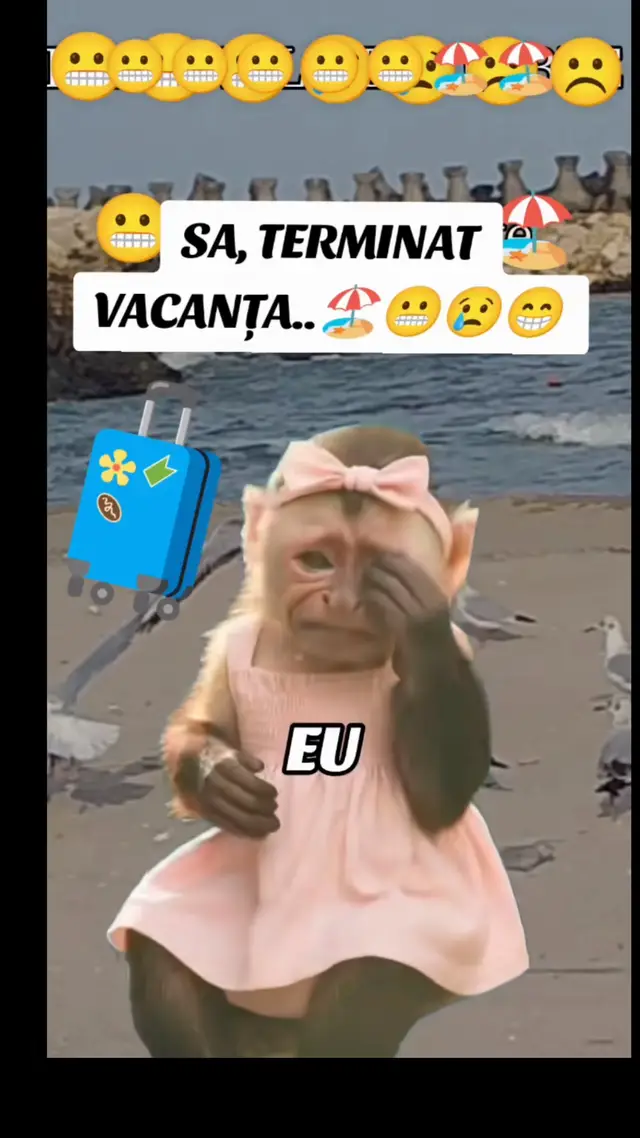 @sempre