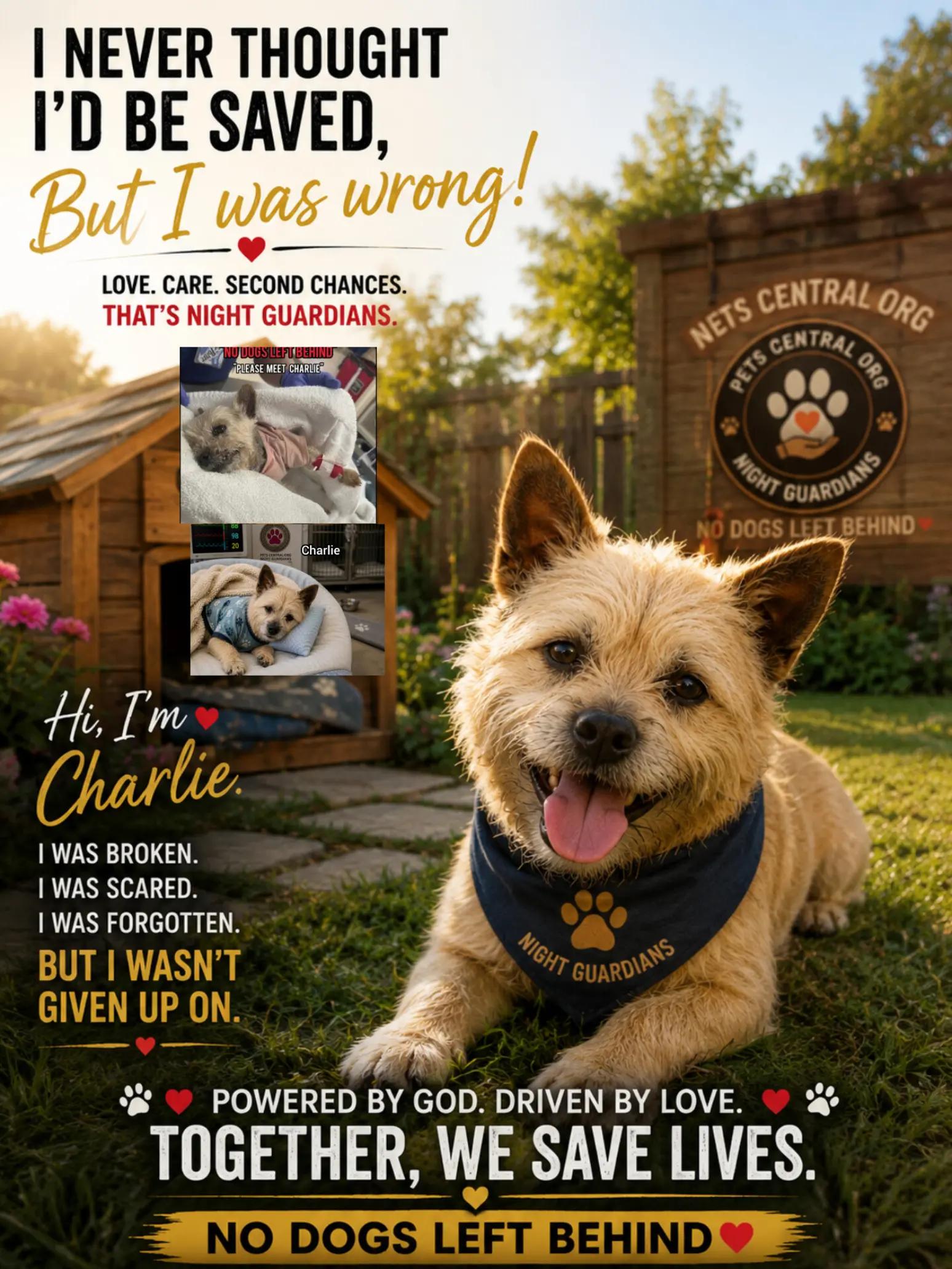 @Petscentralorg DLM Foundation