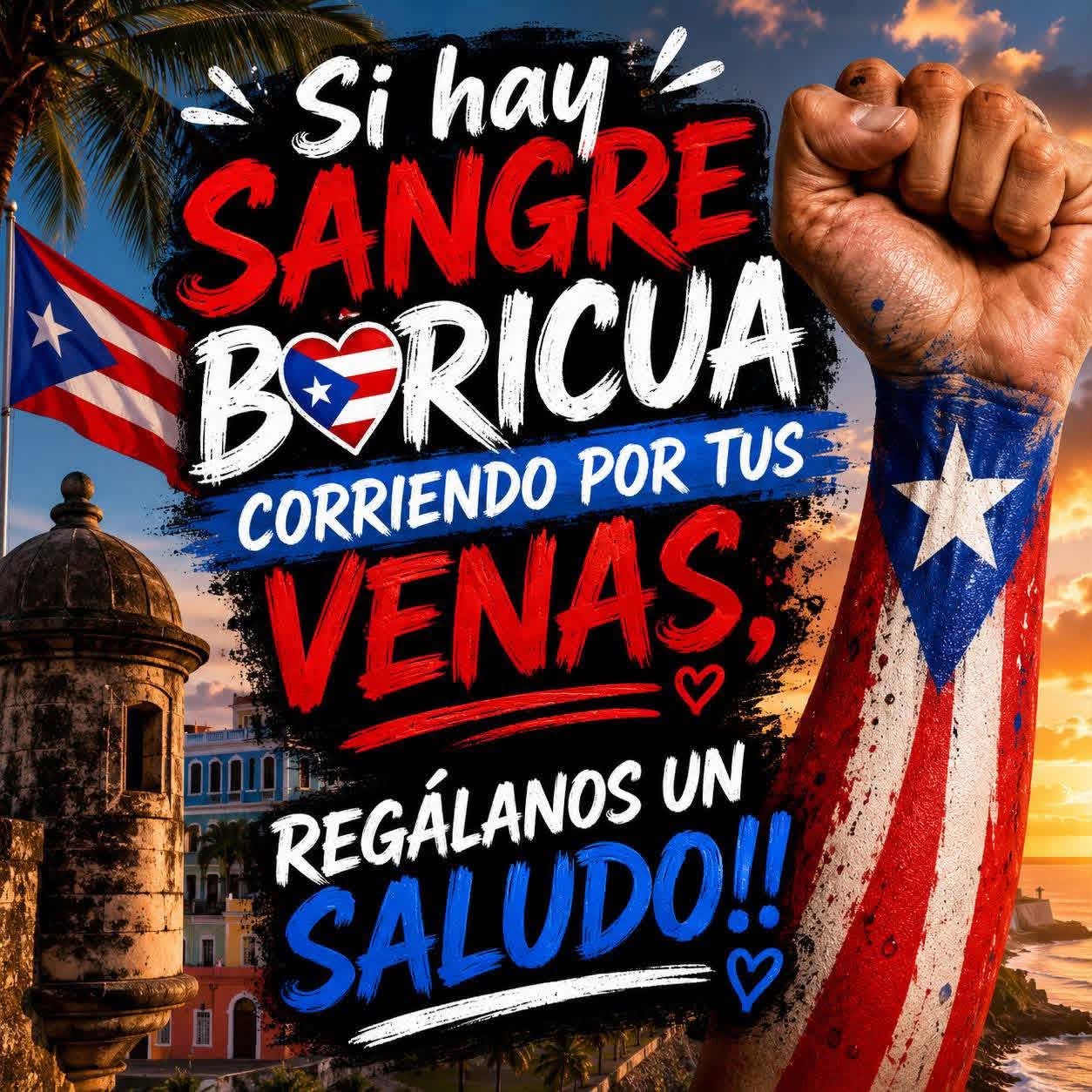 @zoraida 🇵🇷