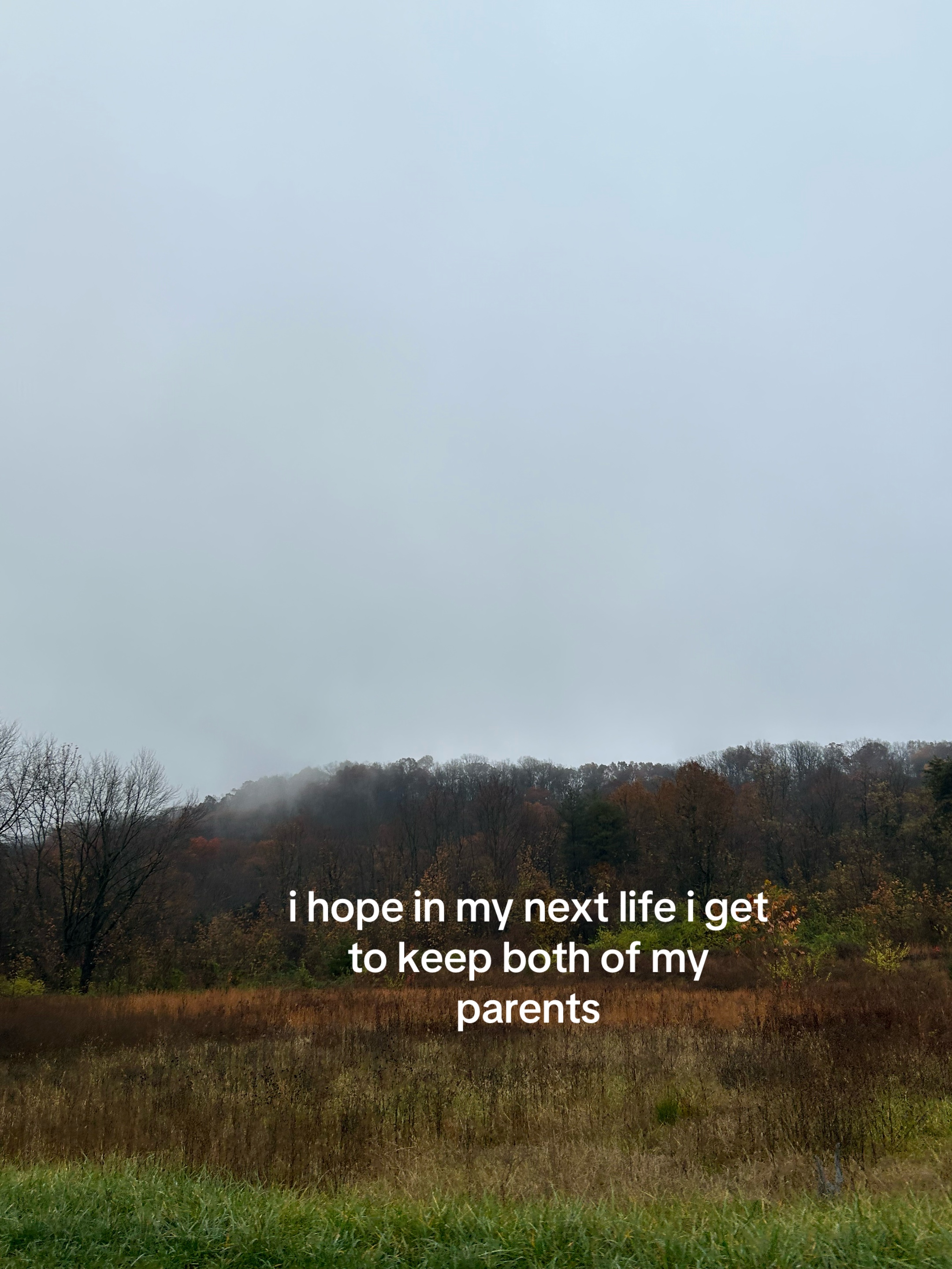 @samich
