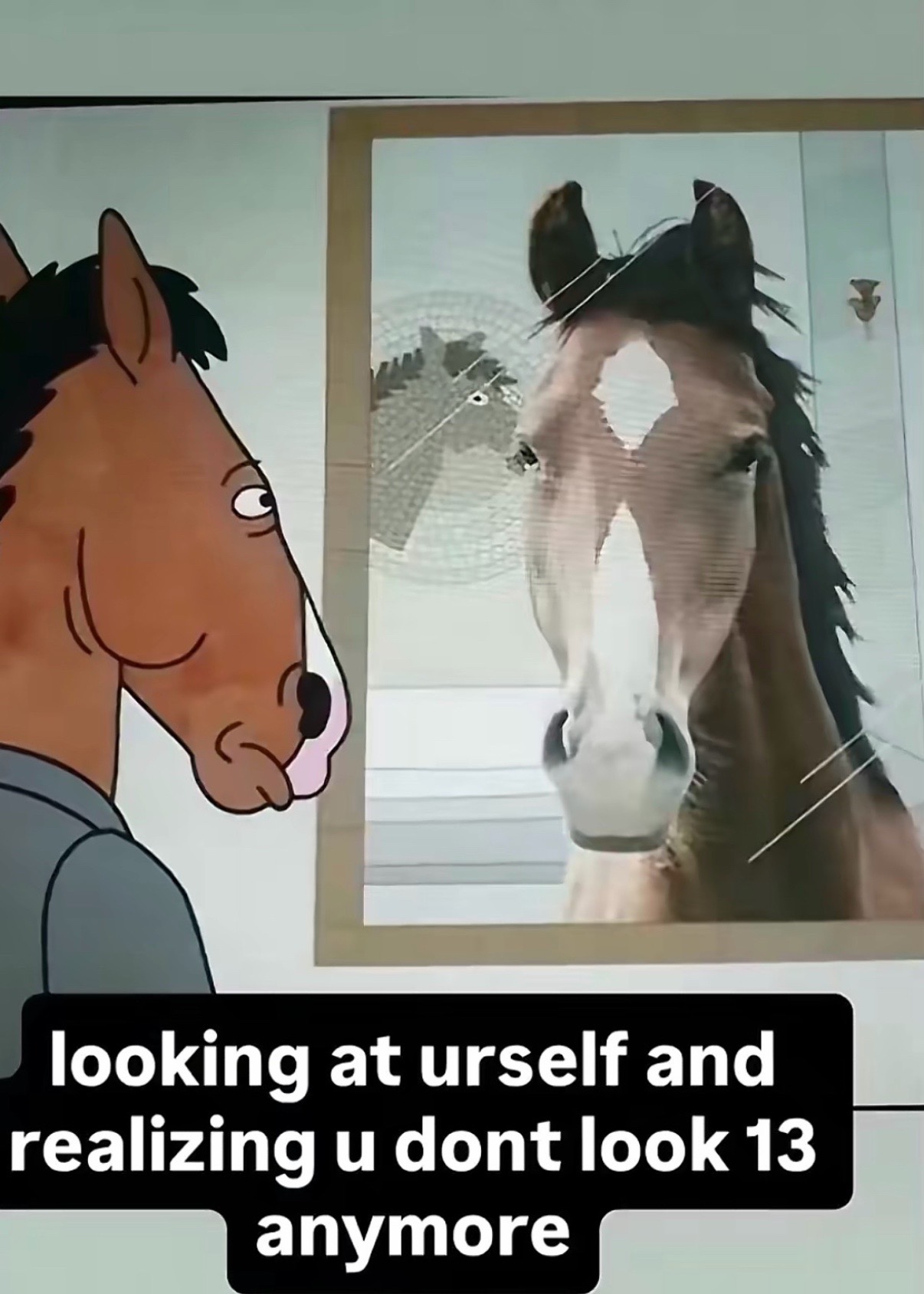 @🪽