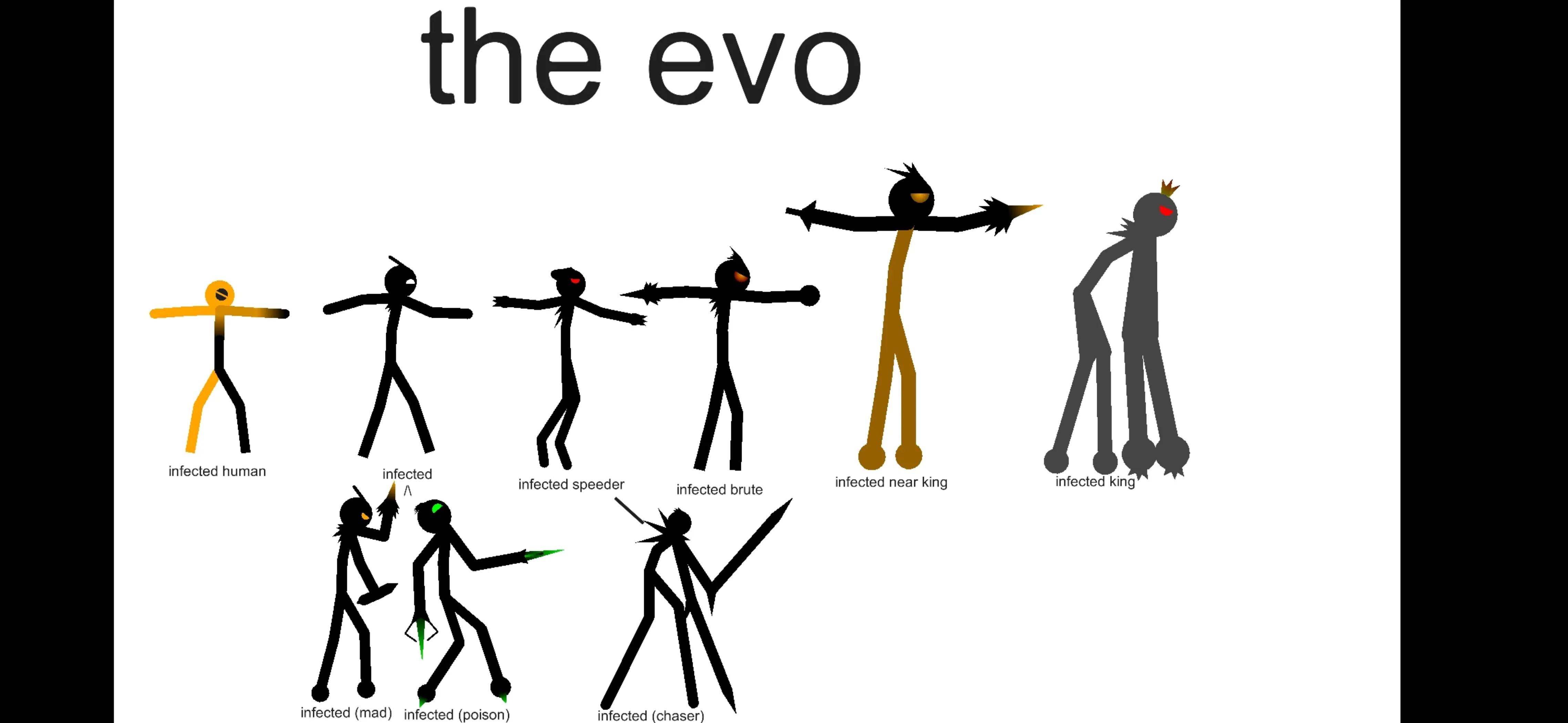 @animator yang