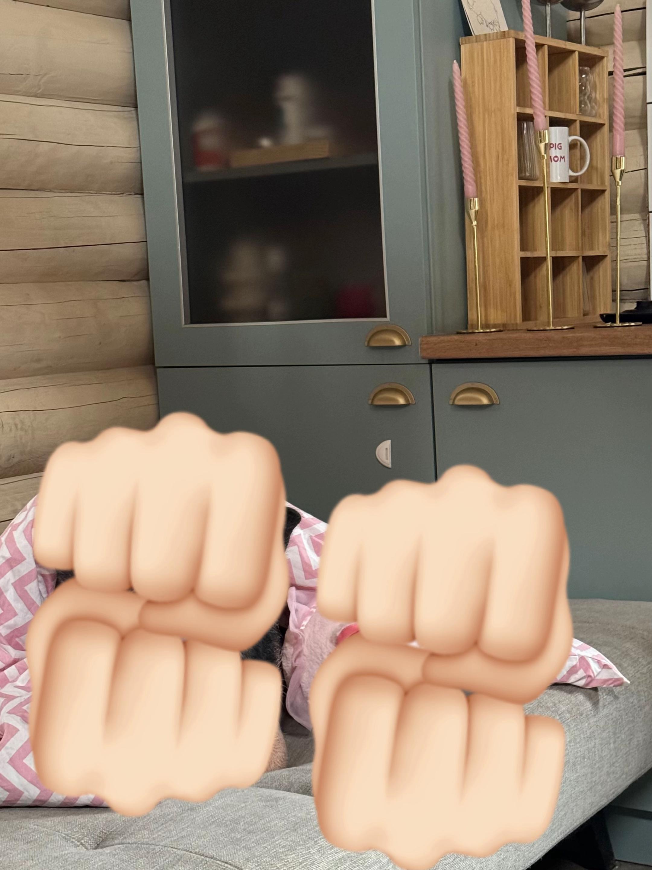 @Olivka pig