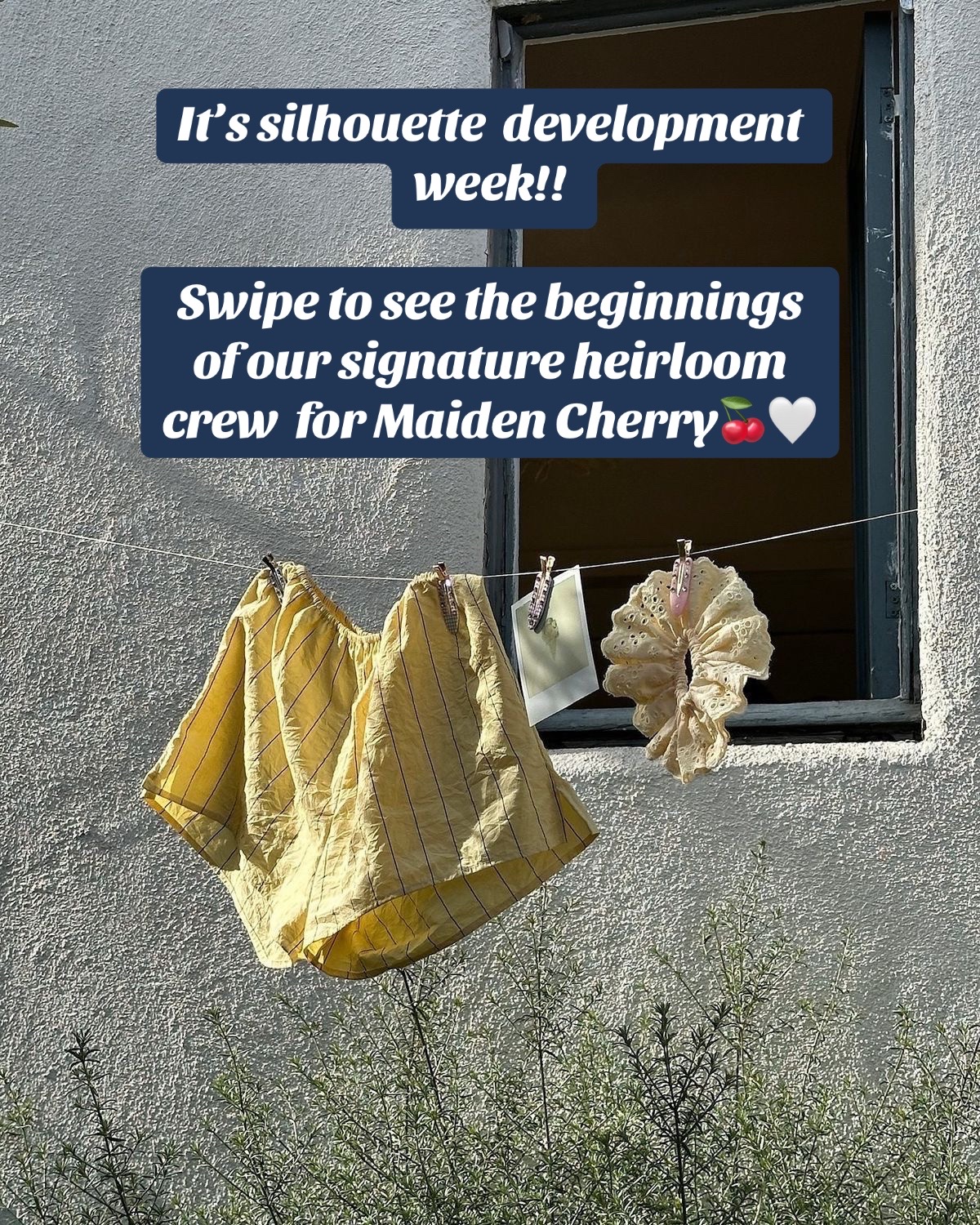 @india eklind | maiden cherry