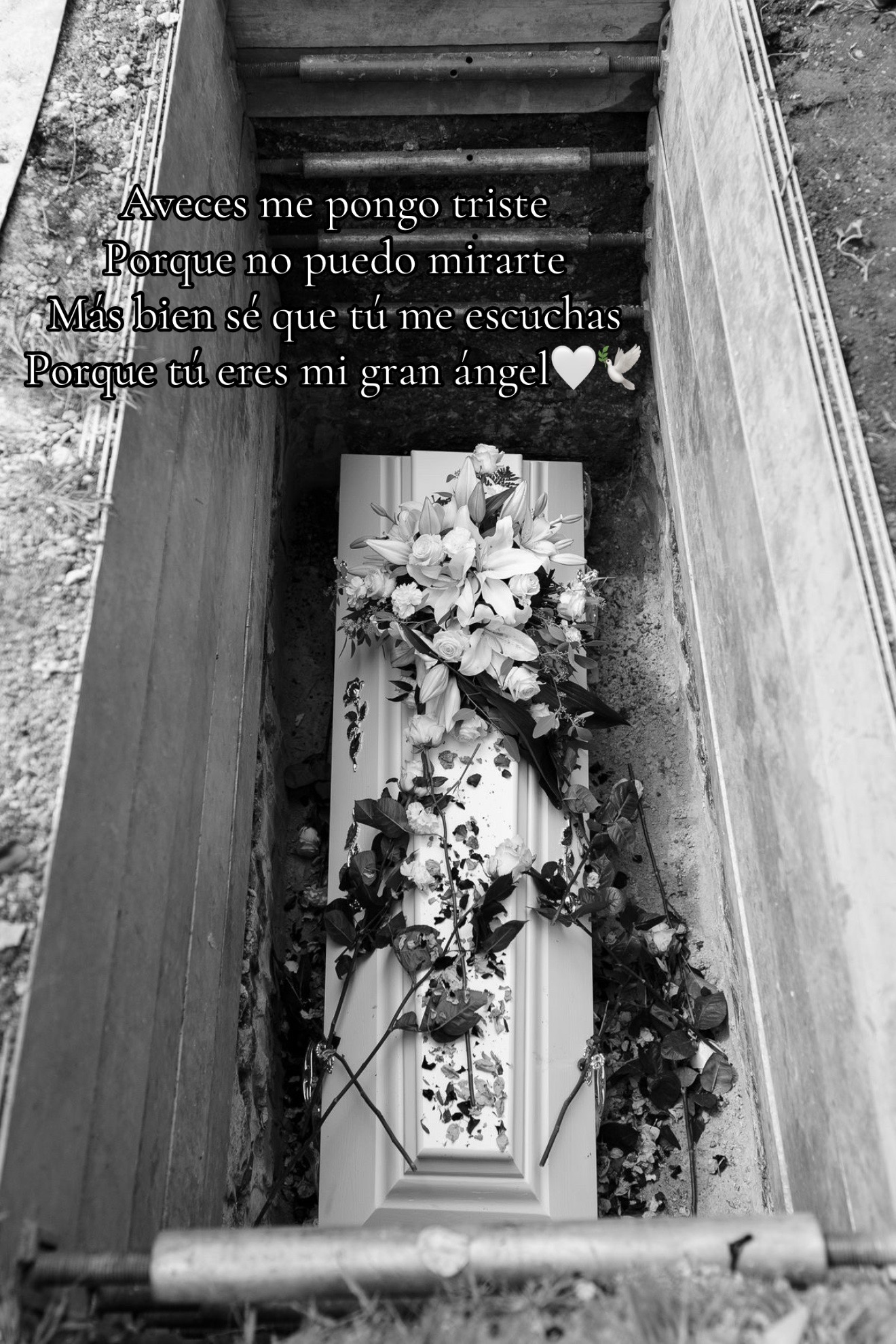 @Grace🎀