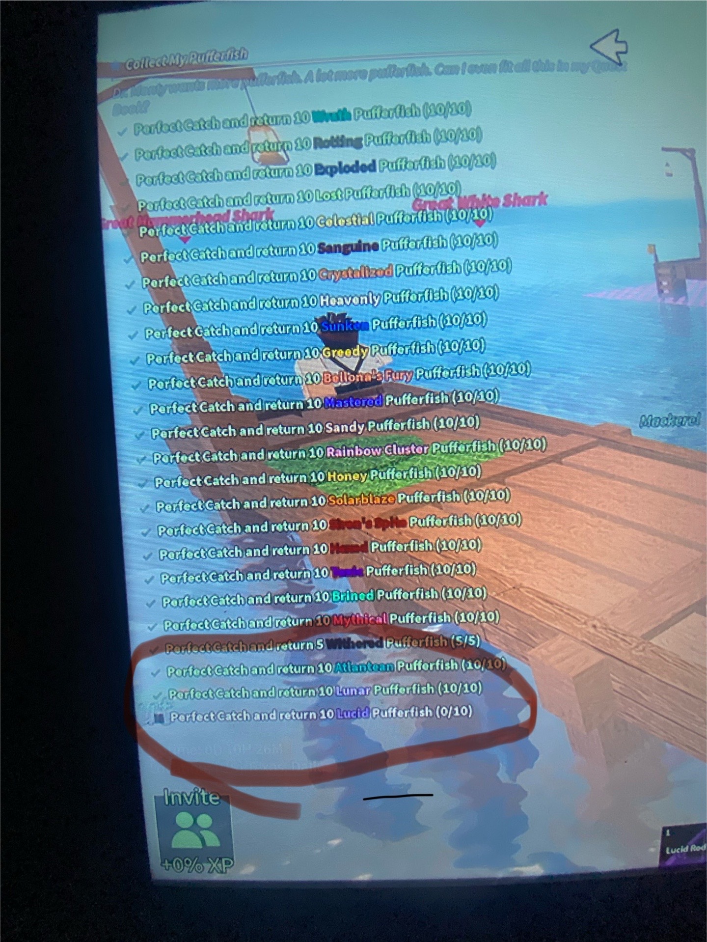 @fischboi123