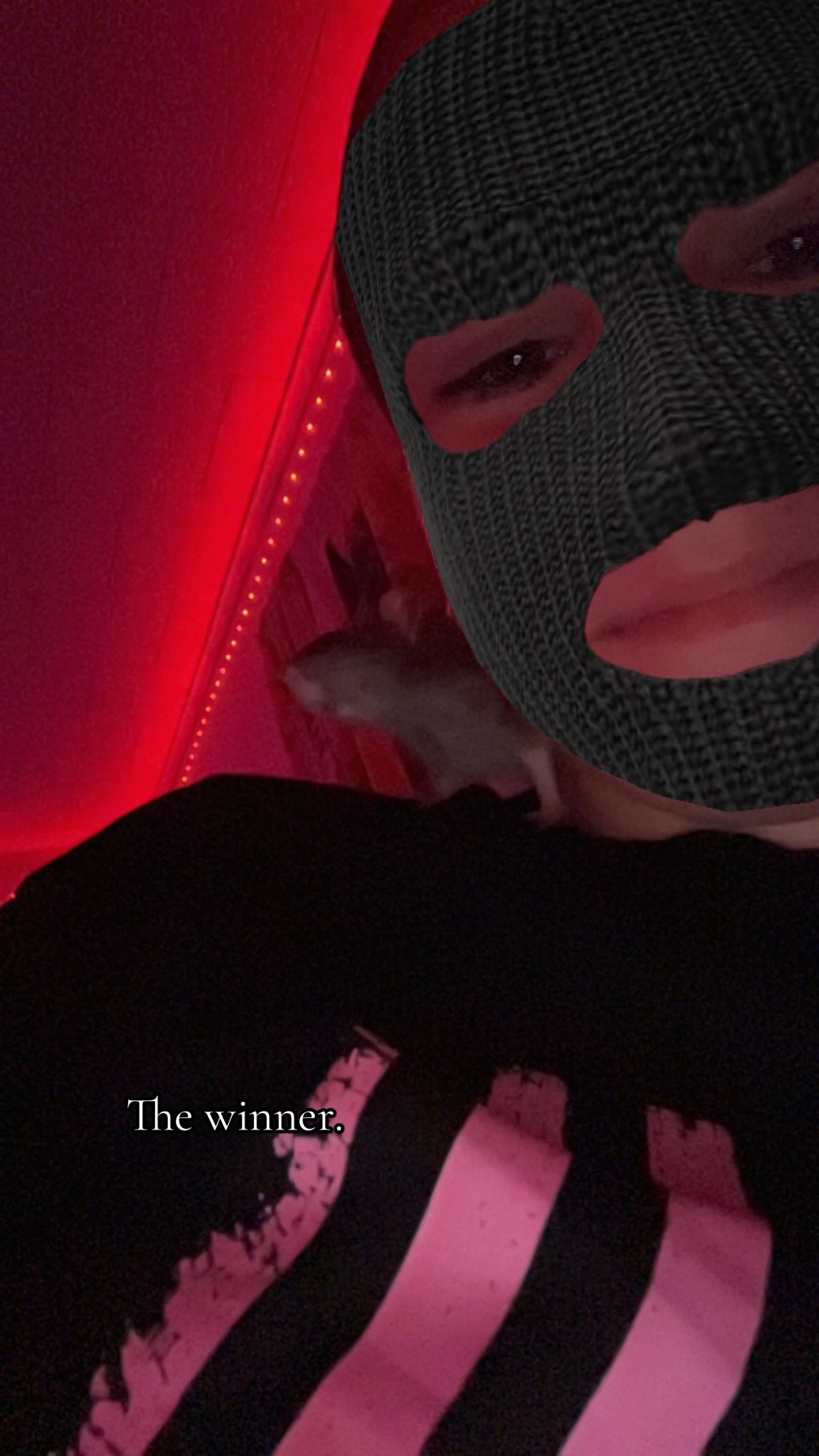 @Rikki🐎🐀