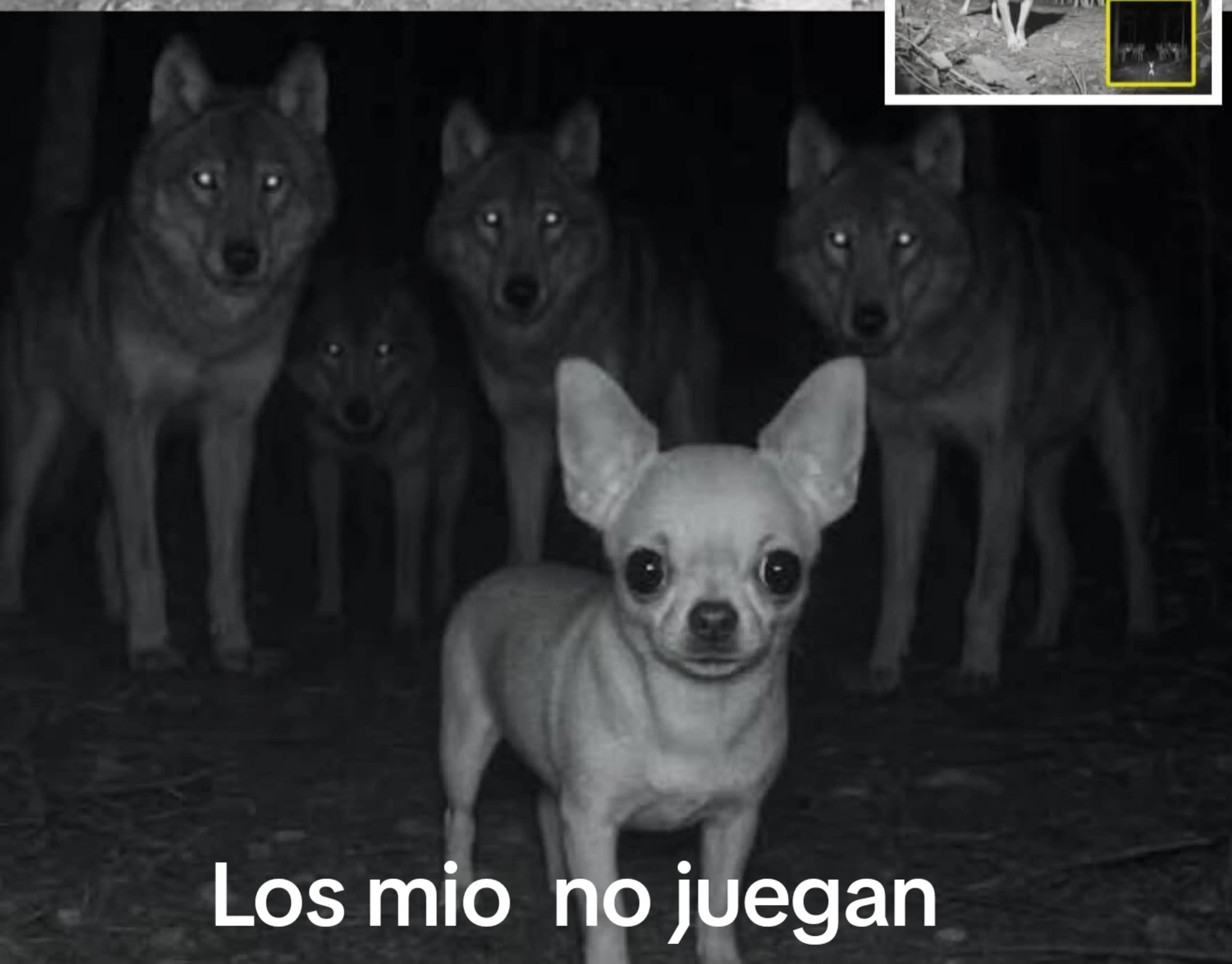 @Daniel del Valle