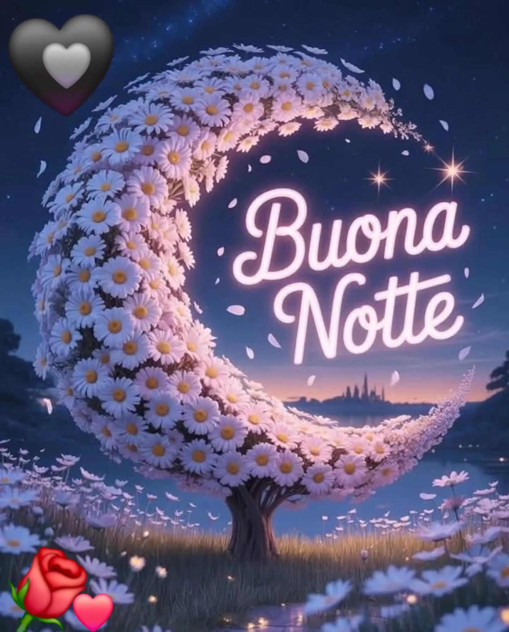 @Bruna 🖤