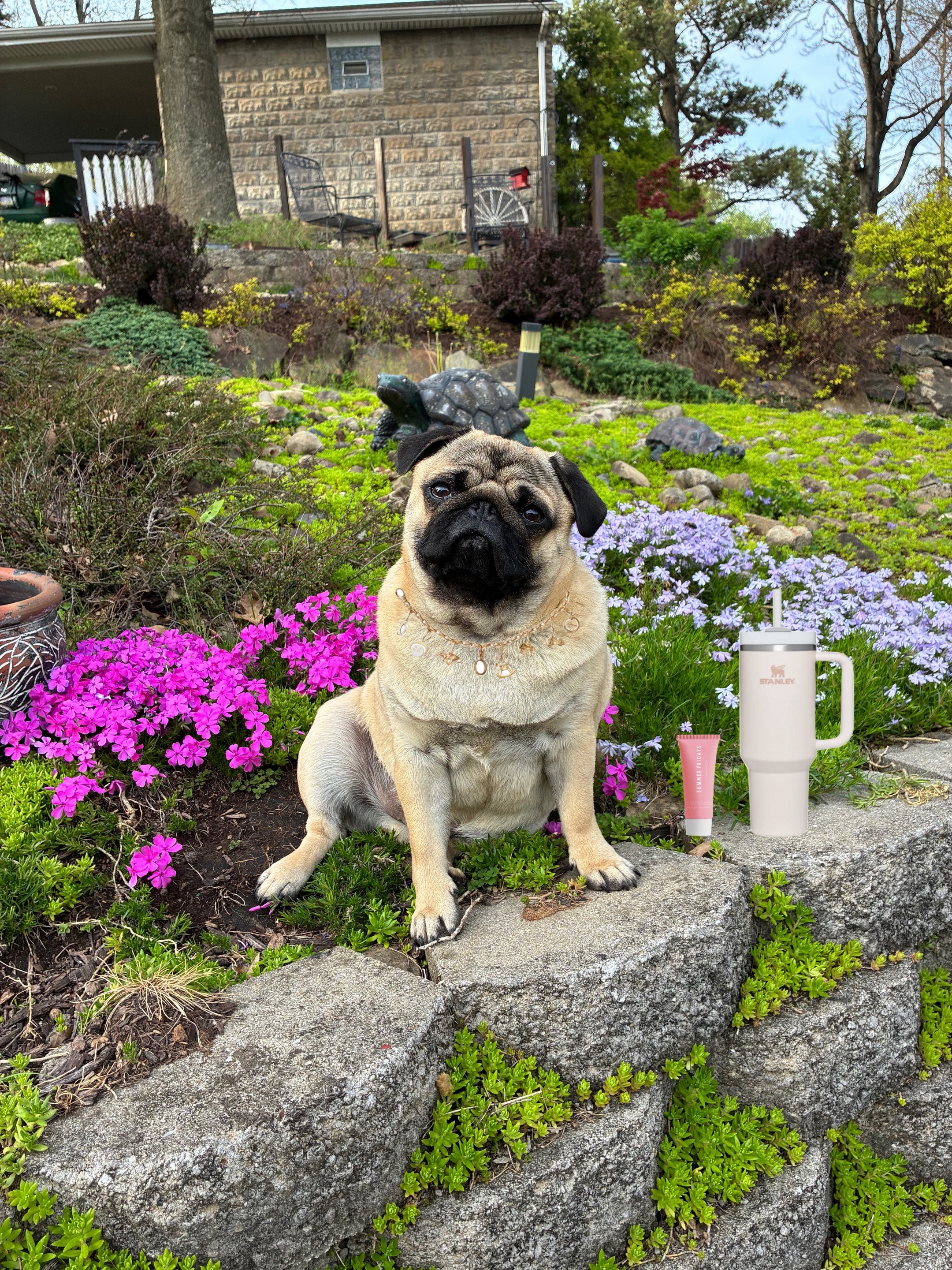 @thewinterpug