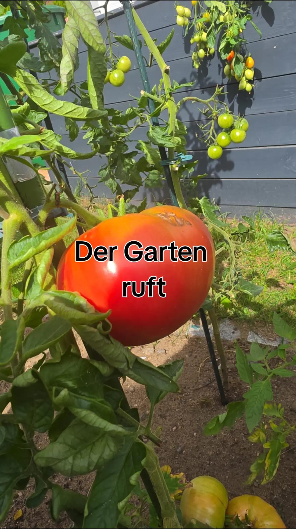 @Claus Schulze