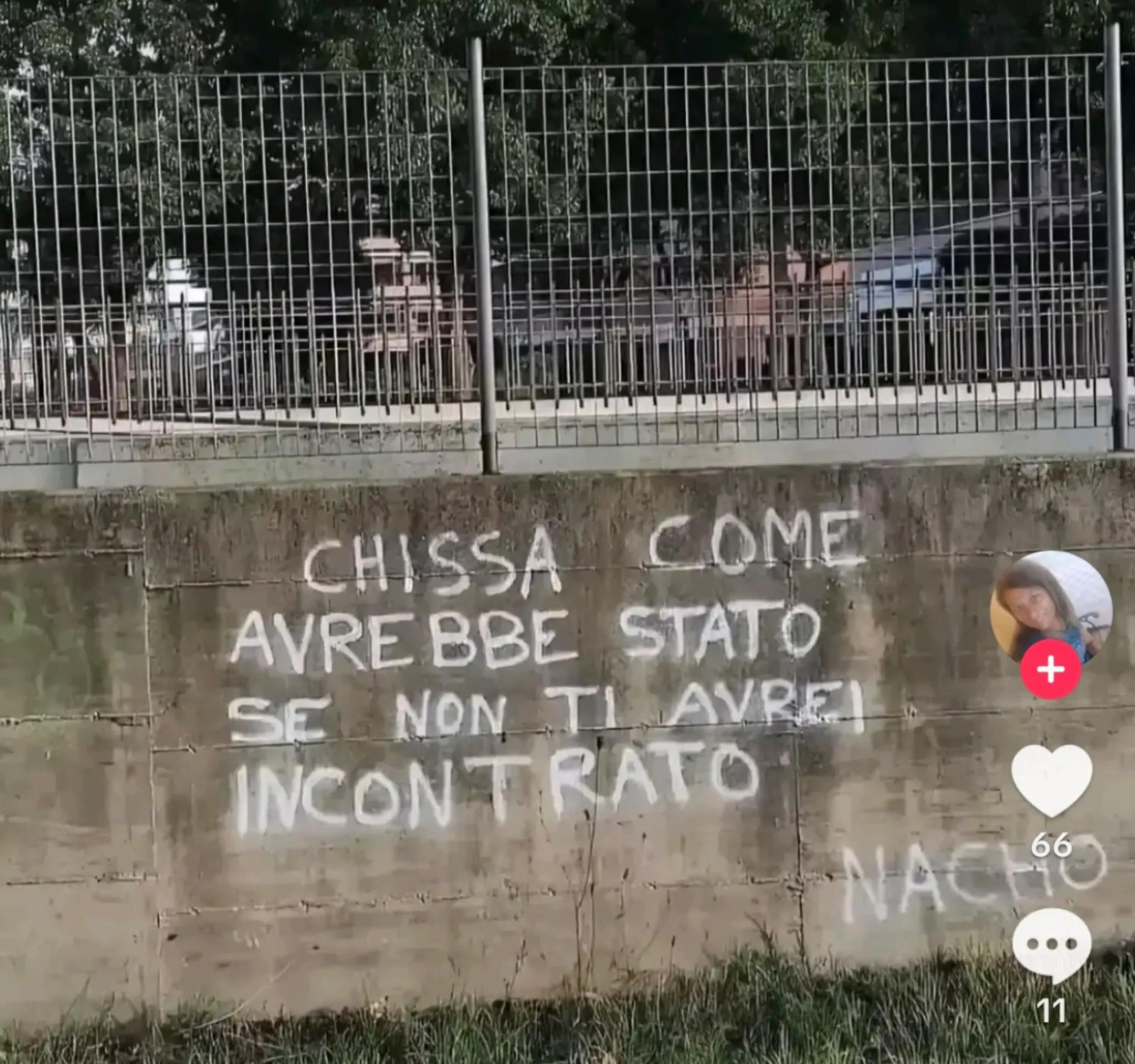 @grazia1817 ti segue