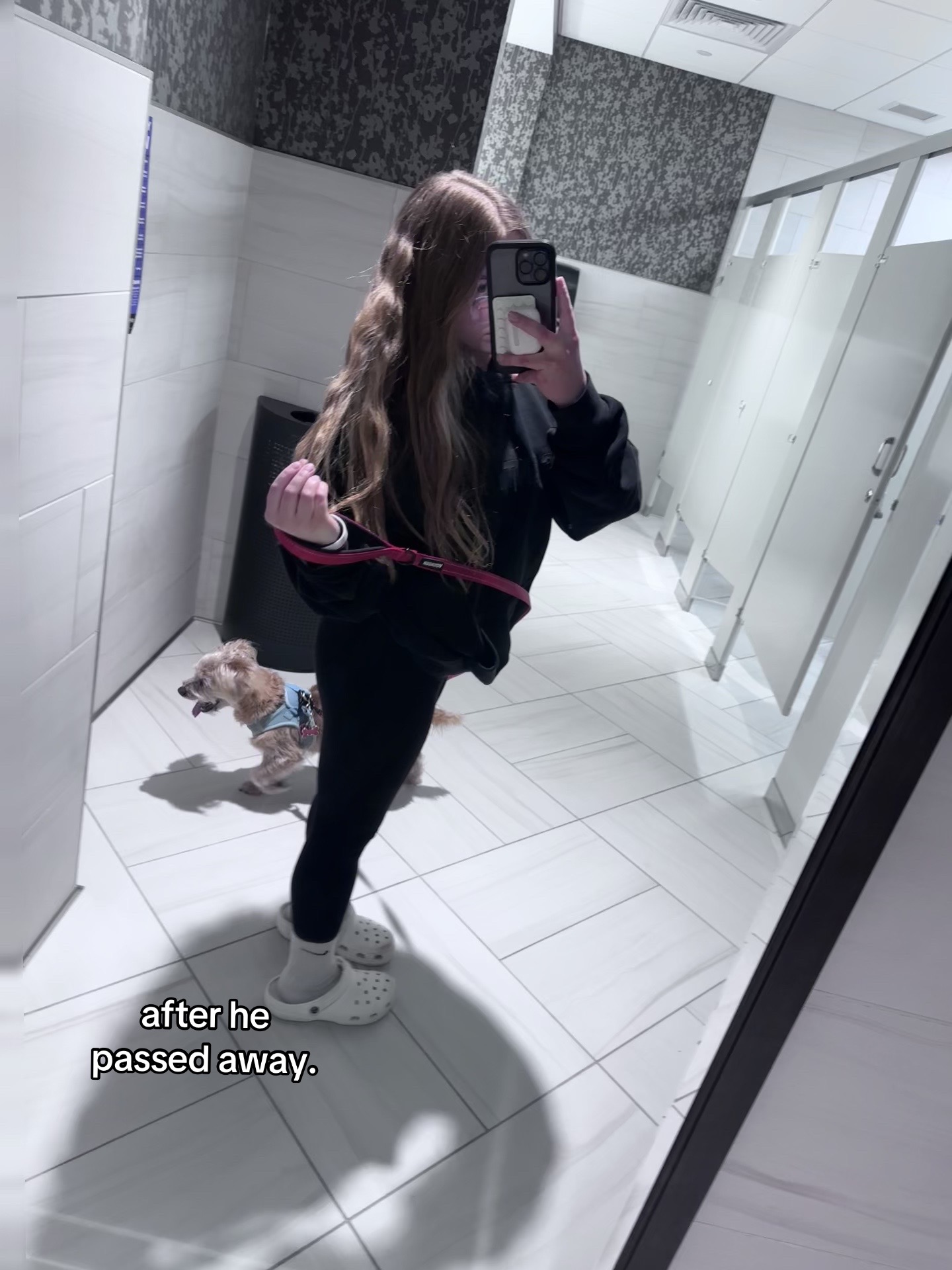 @car.car_spam