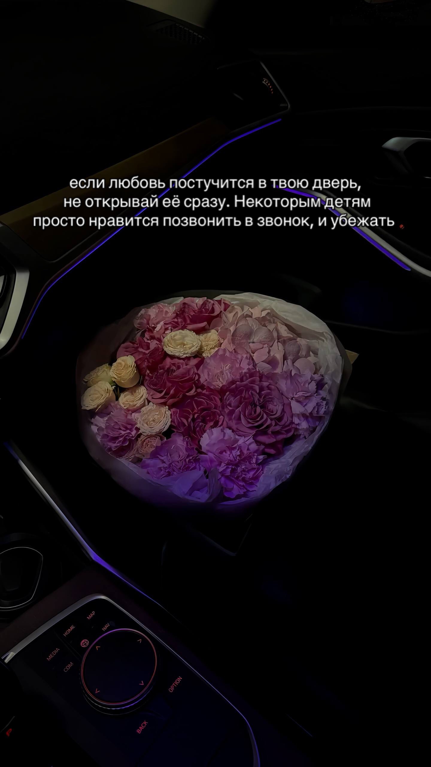 @netsvvyazz
