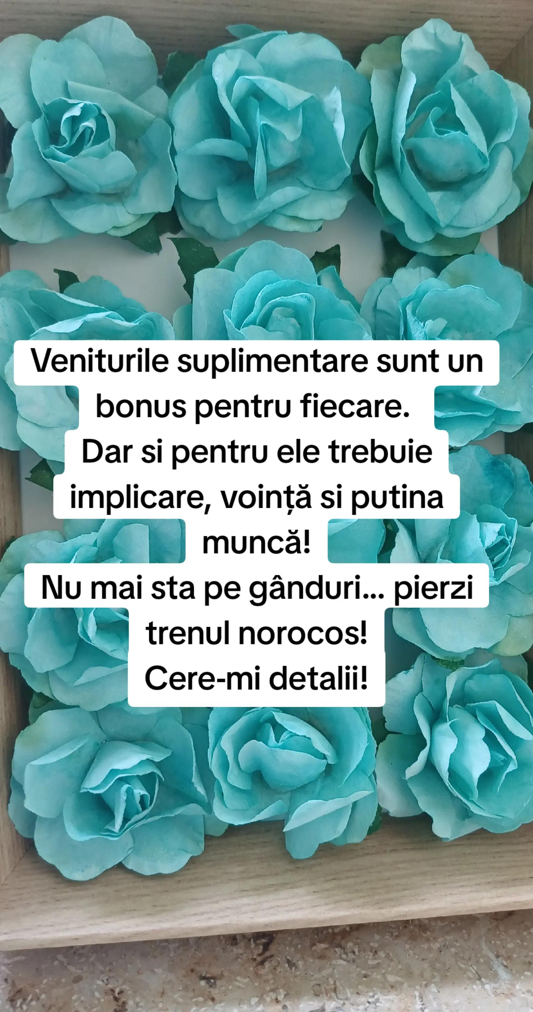 @Raluca RaLu