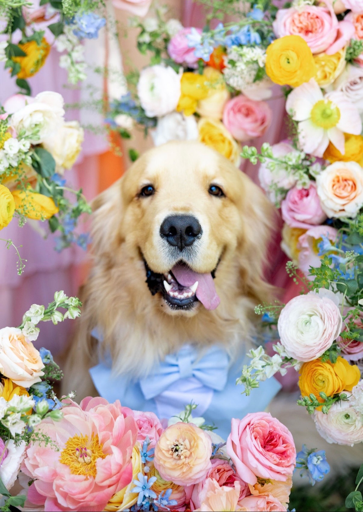 @Married by Mariella