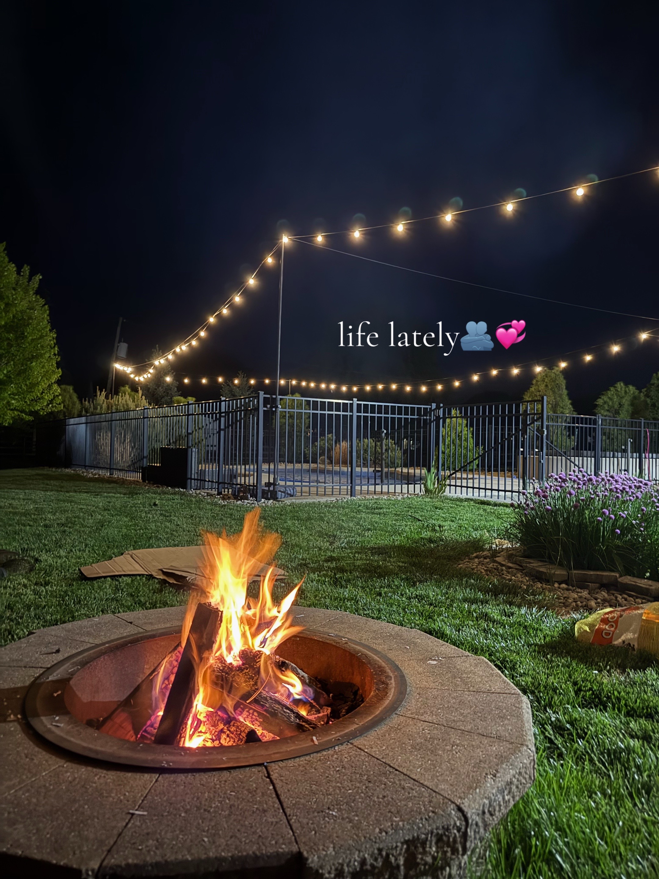 @luc💐