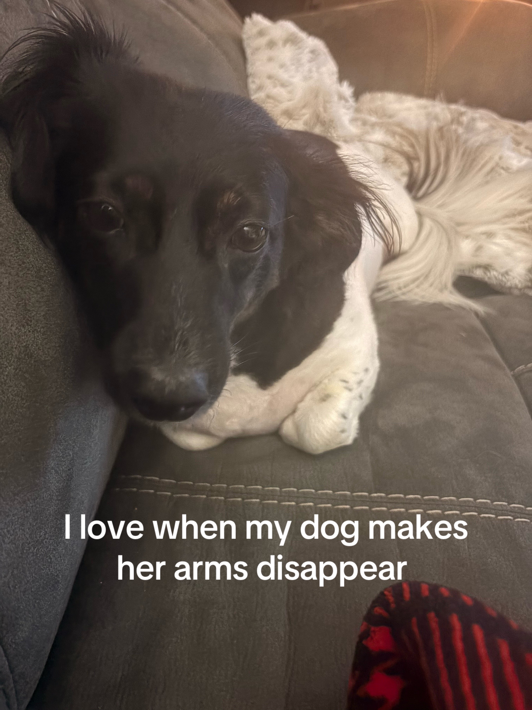 @Mimi