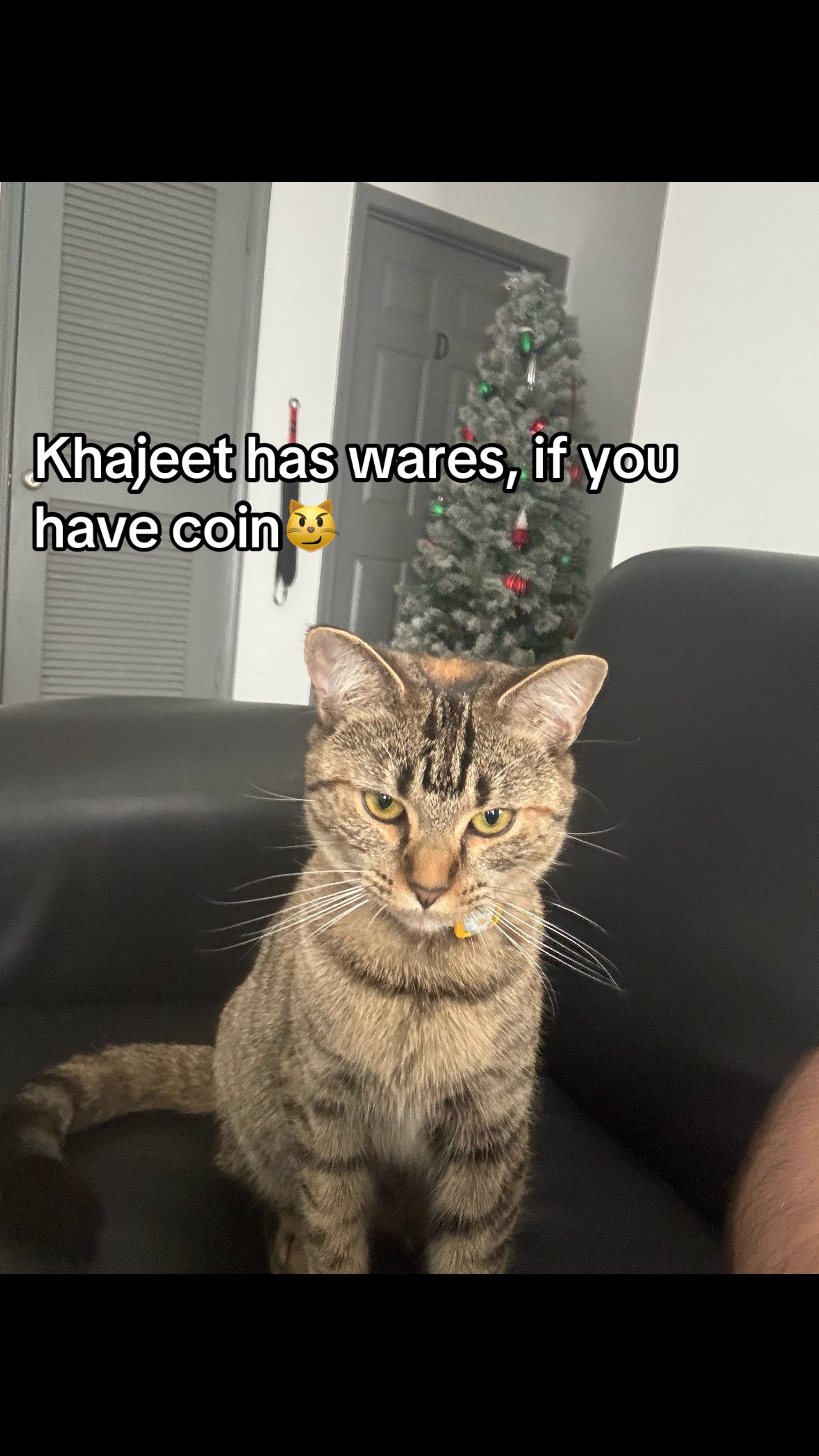 @AlleyCat_ow