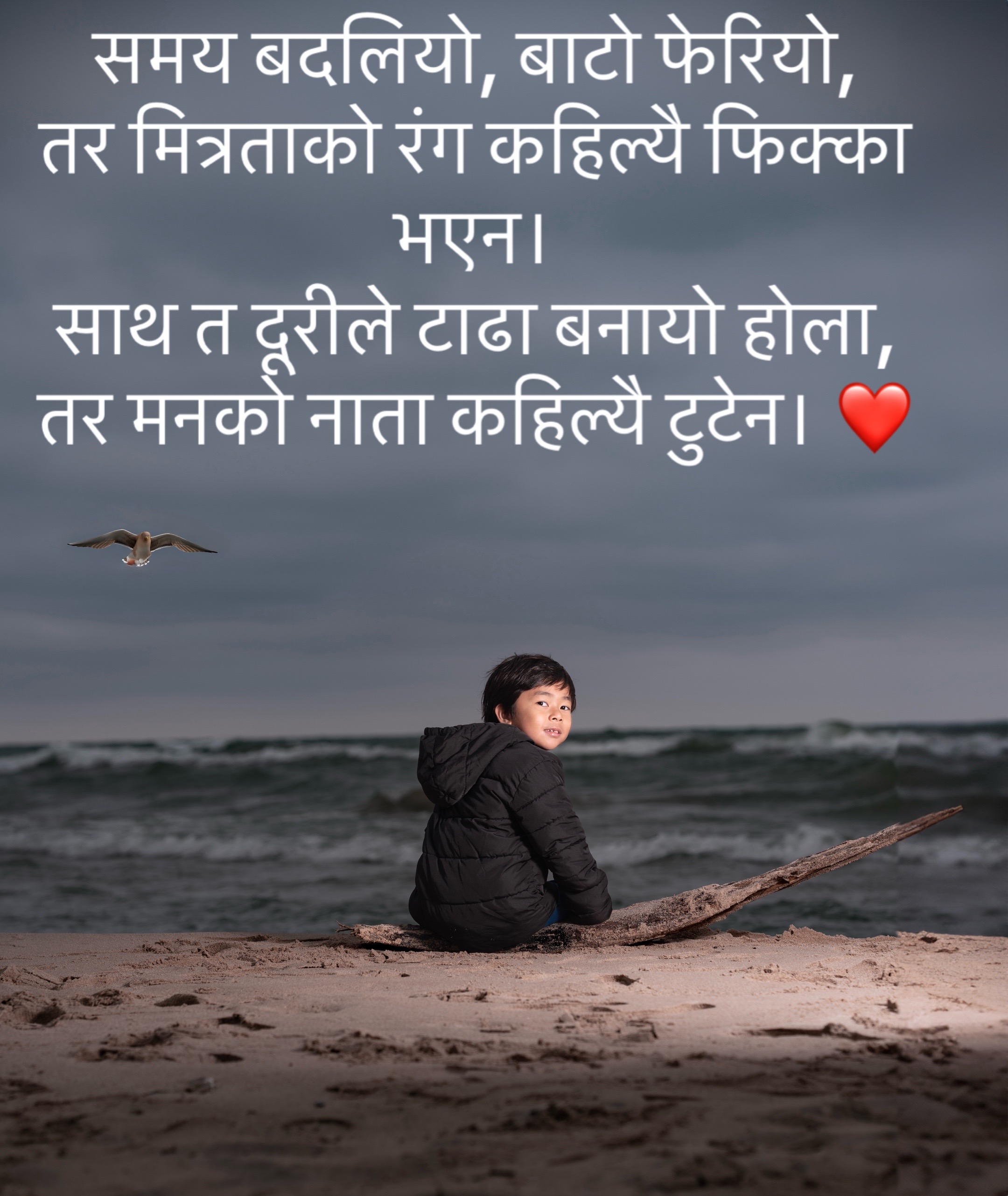 @Tara Rai