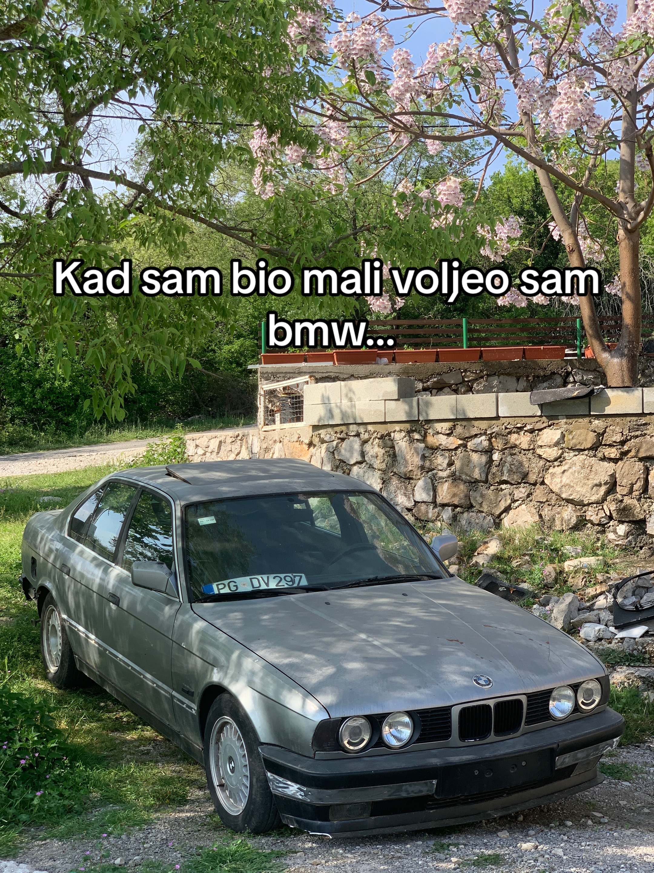 @cetkovic_a