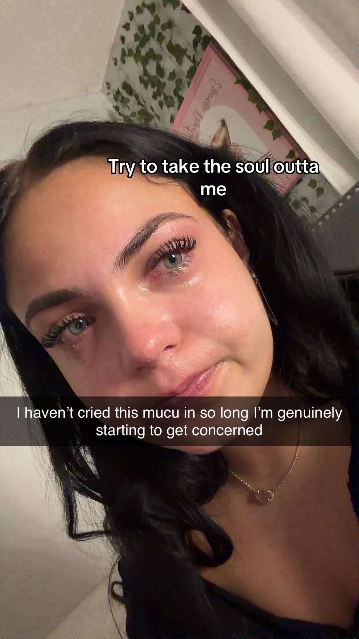 @stef