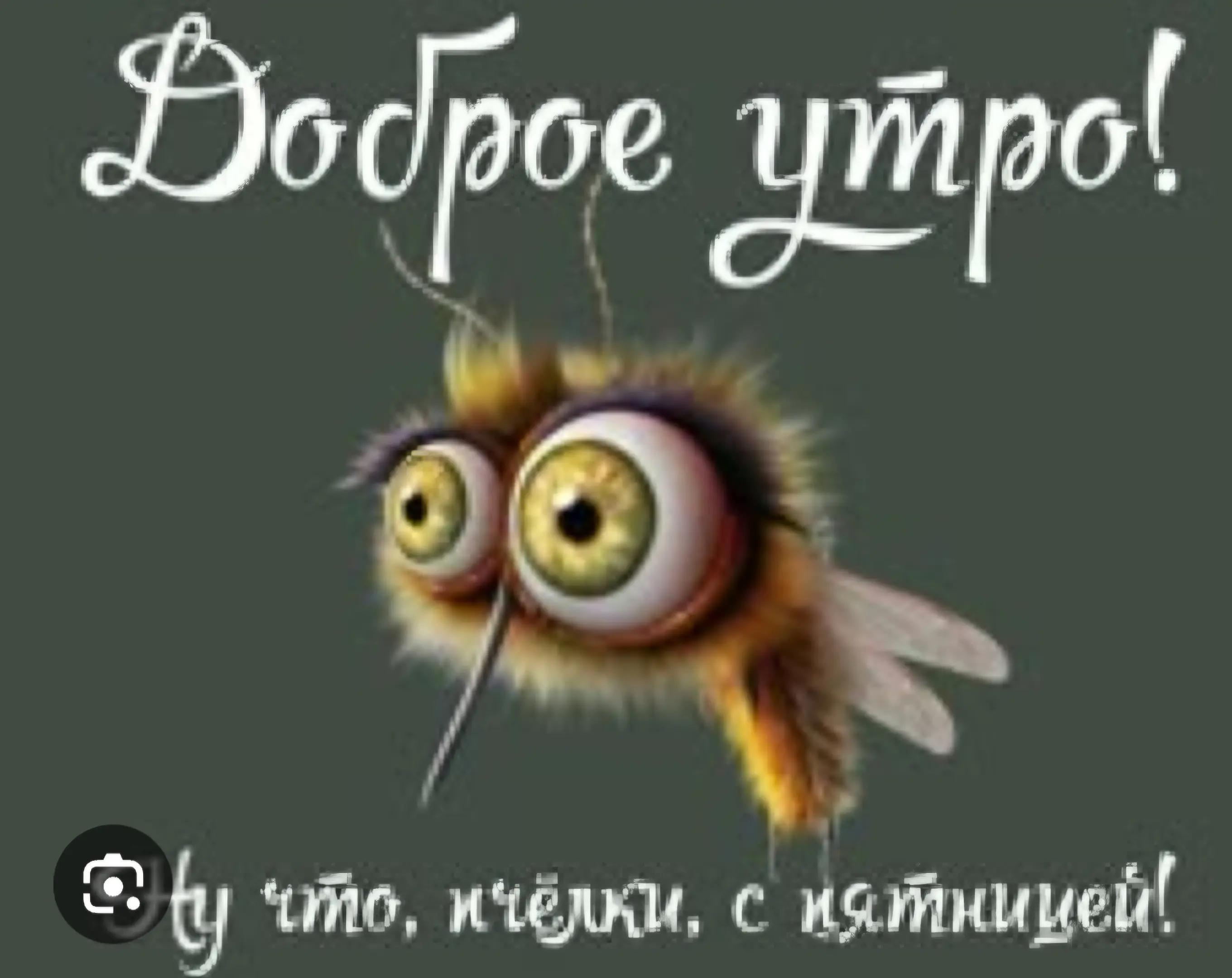 @Анастасия Антоненко