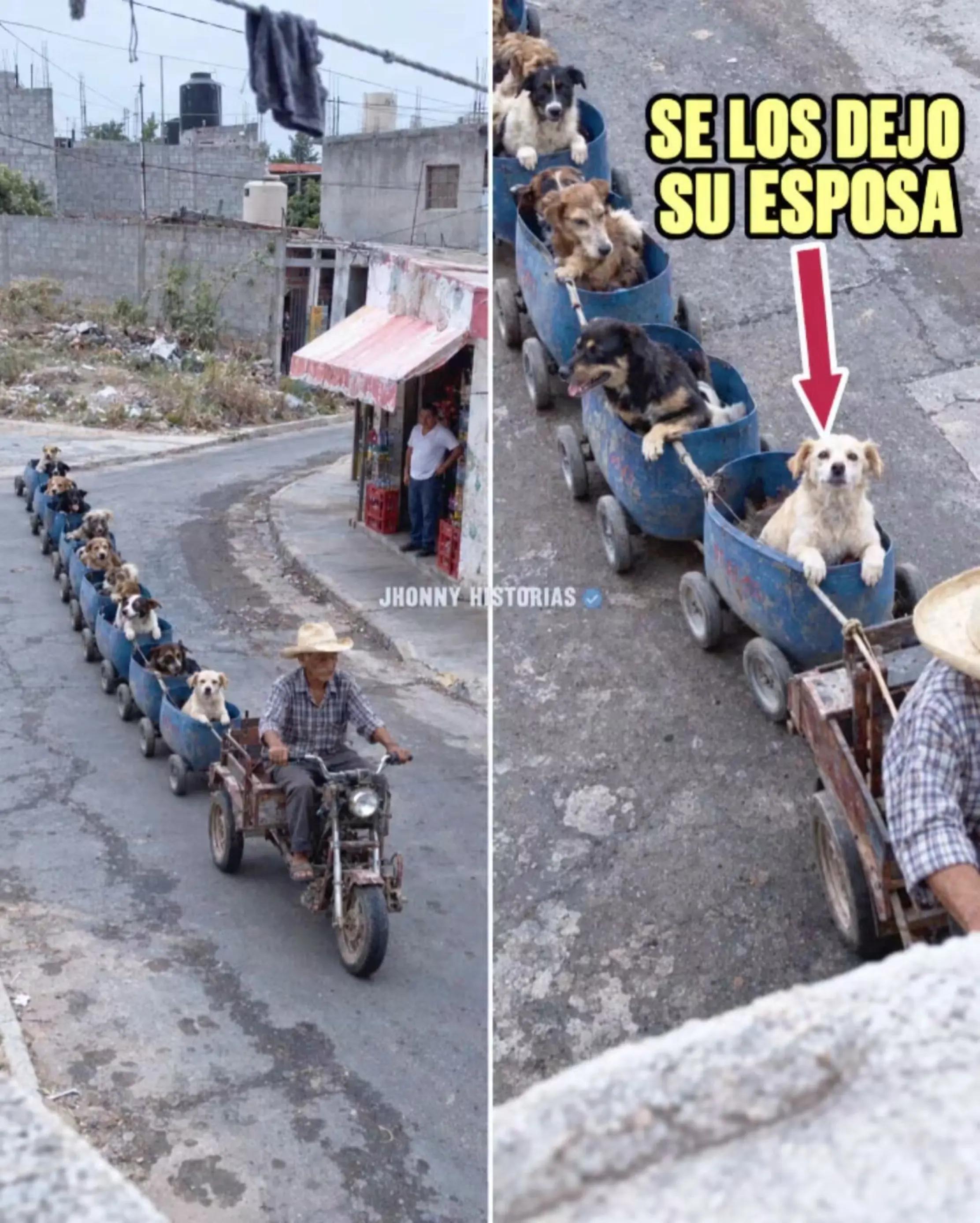 @Sola