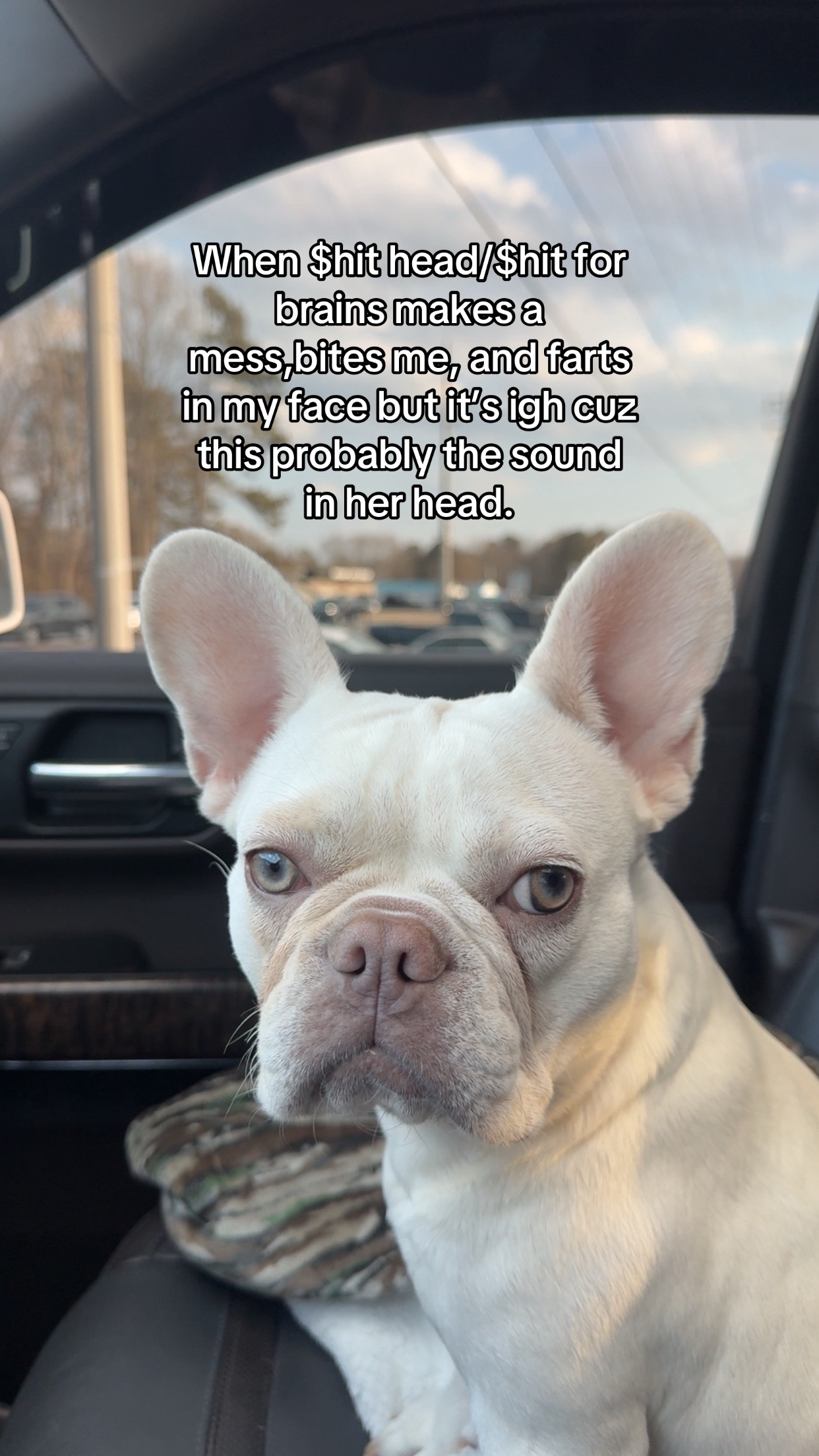 @𝓕𝓵𝓾𝓯𝓯